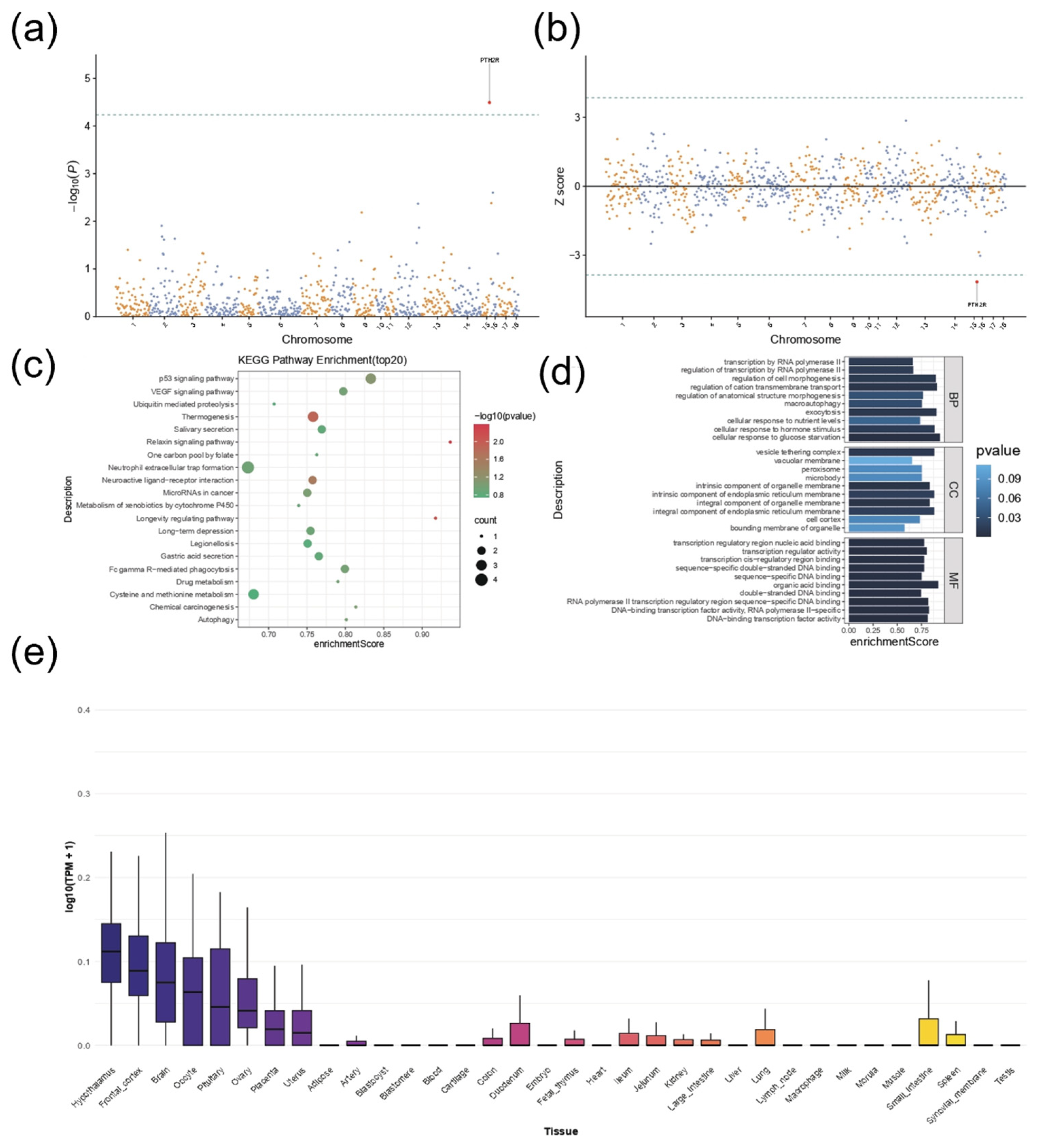 Animals 16 00117 g004