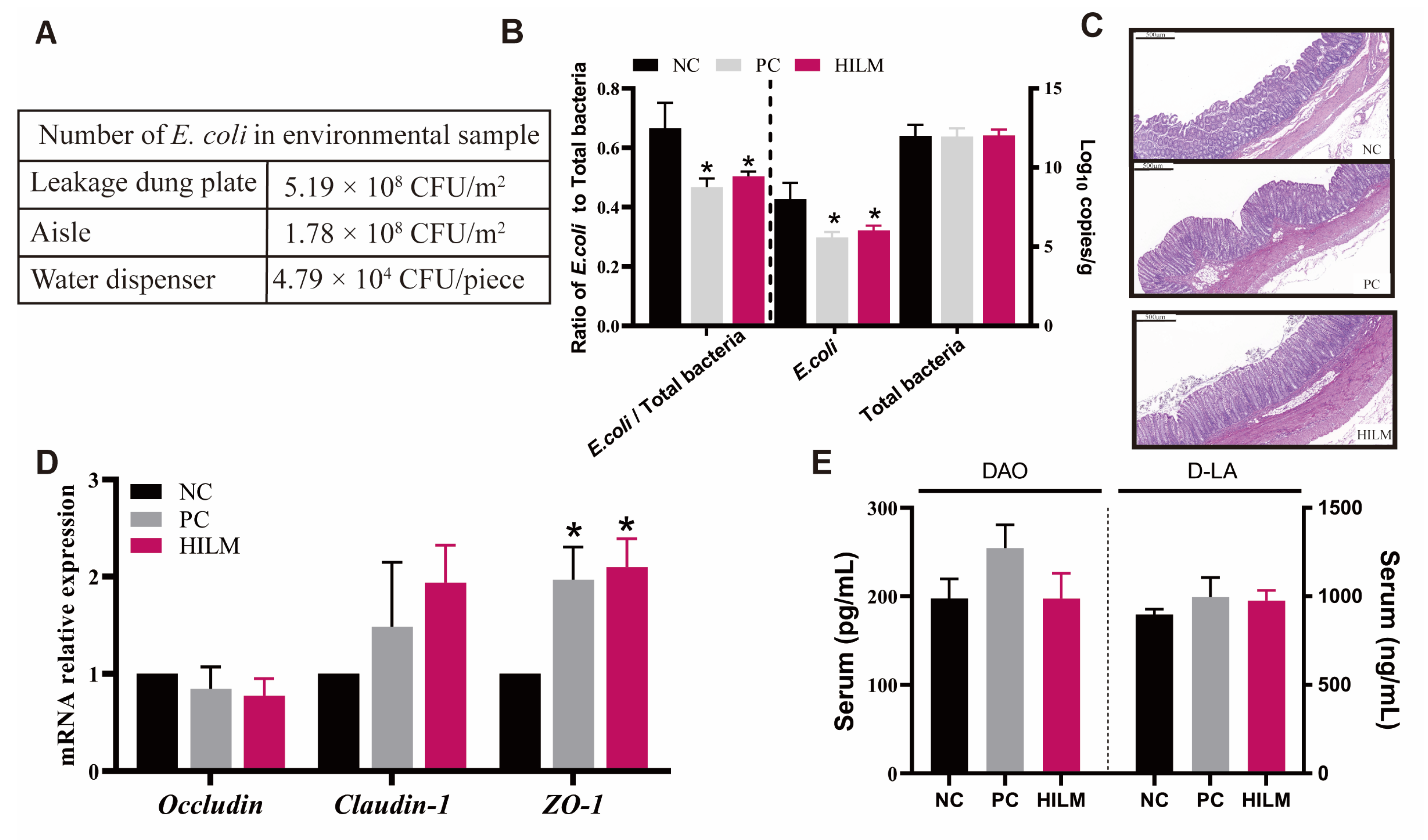 Animals 16 00118 g001