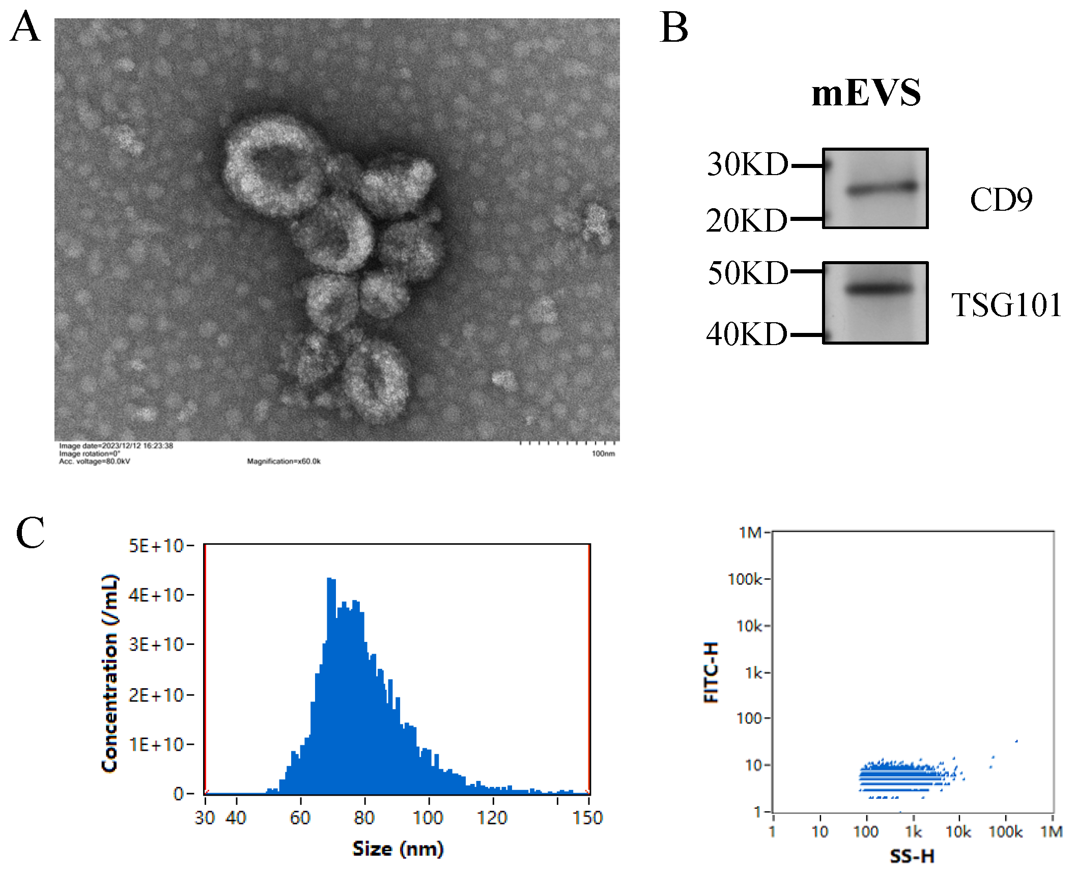 Animals 16 00123 g001 Animals 16 00123 g001