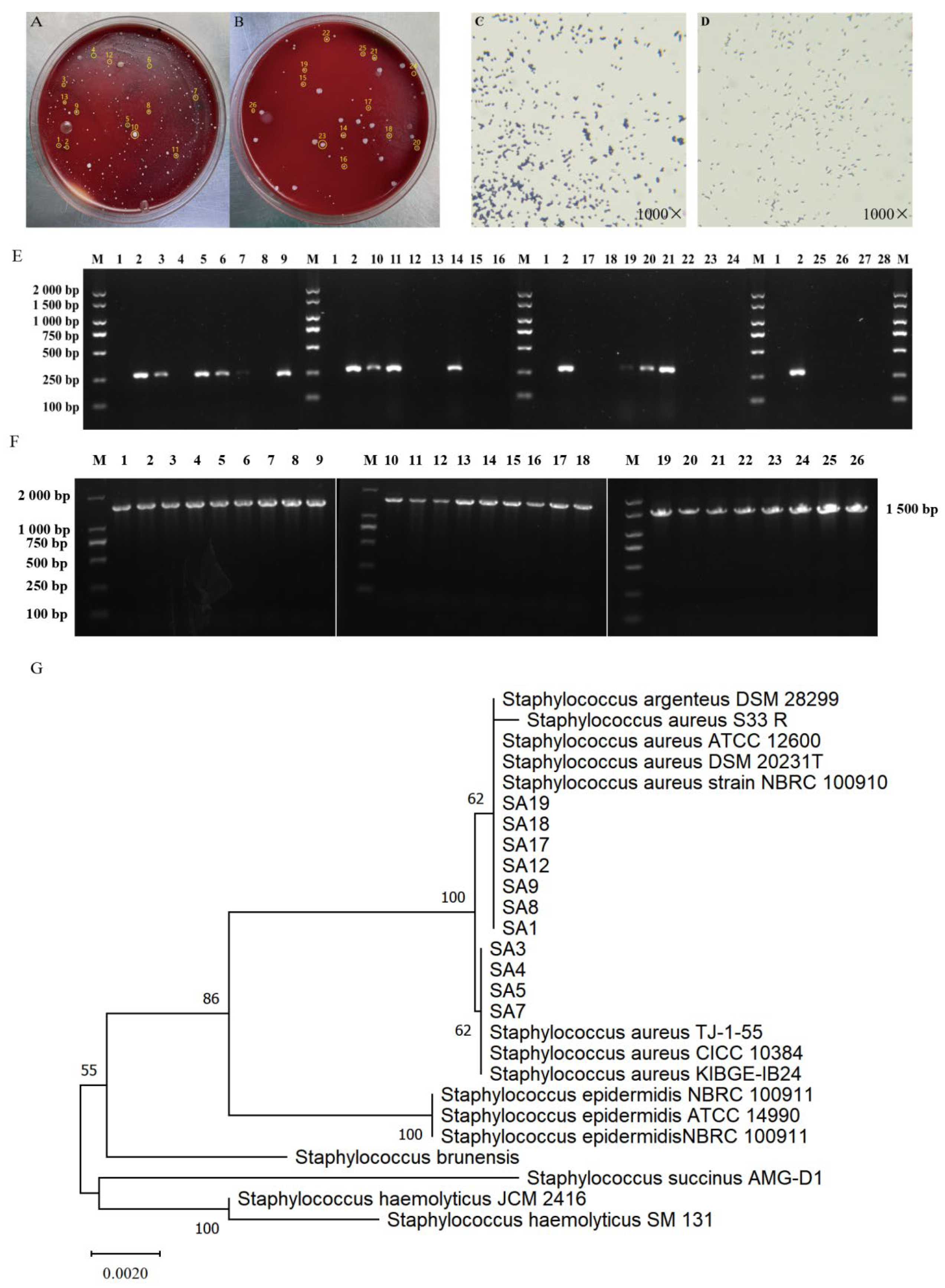 Animals 16 00123 g002 Animals 16 00123 g002