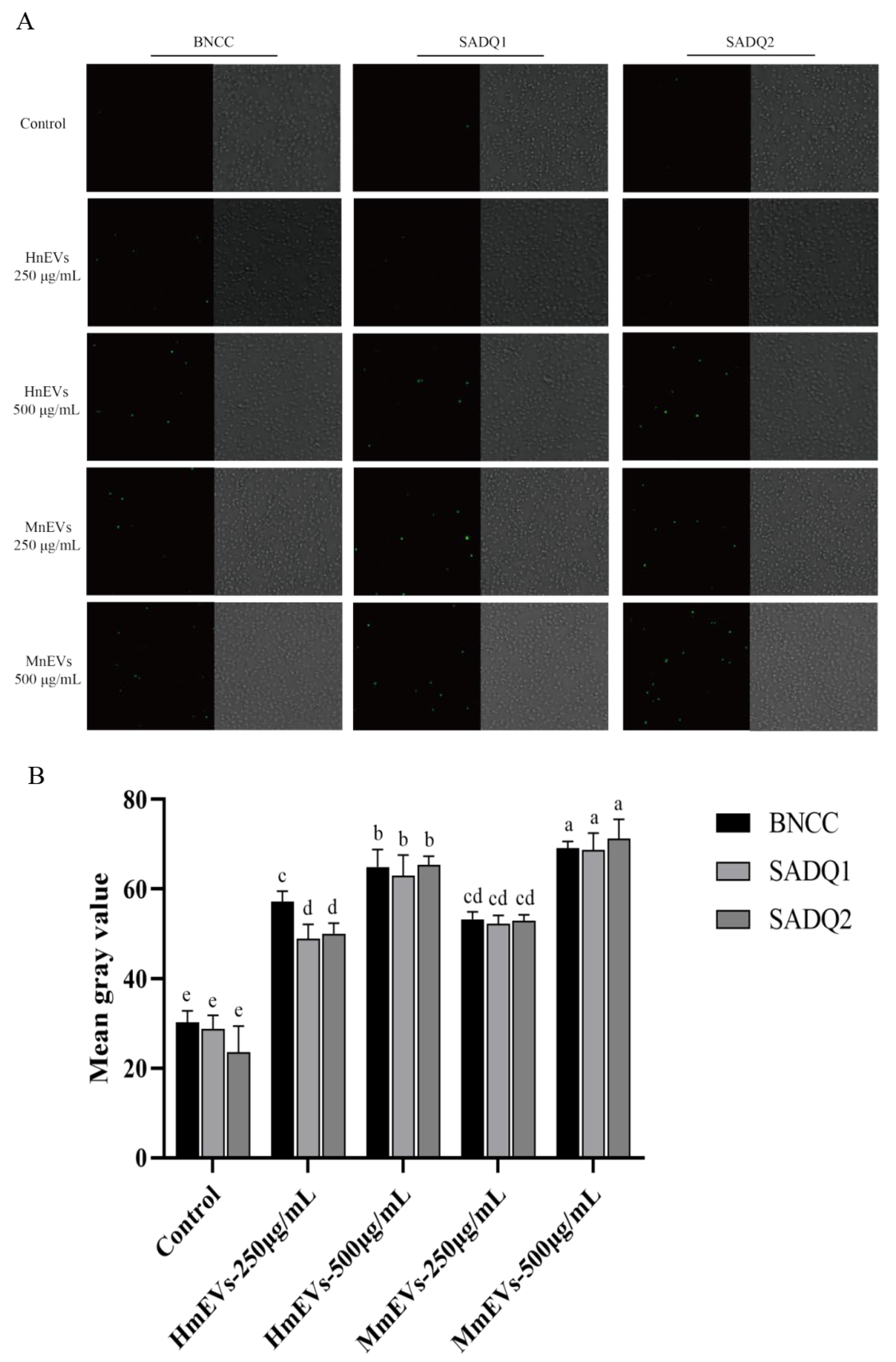 Animals 16 00123 g006 Animals 16 00123 g006
