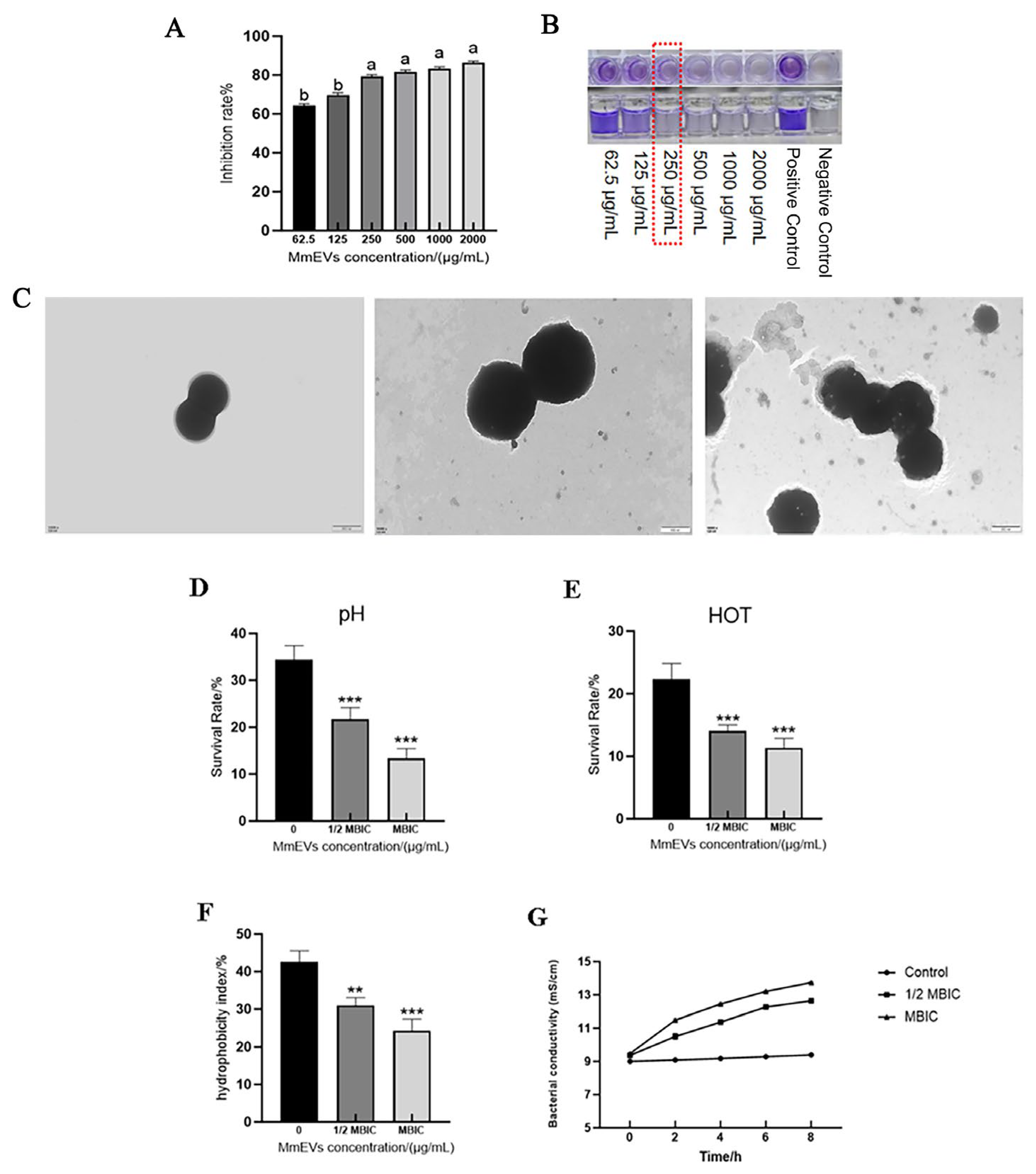 Animals 16 00123 g008 Animals 16 00123 g008