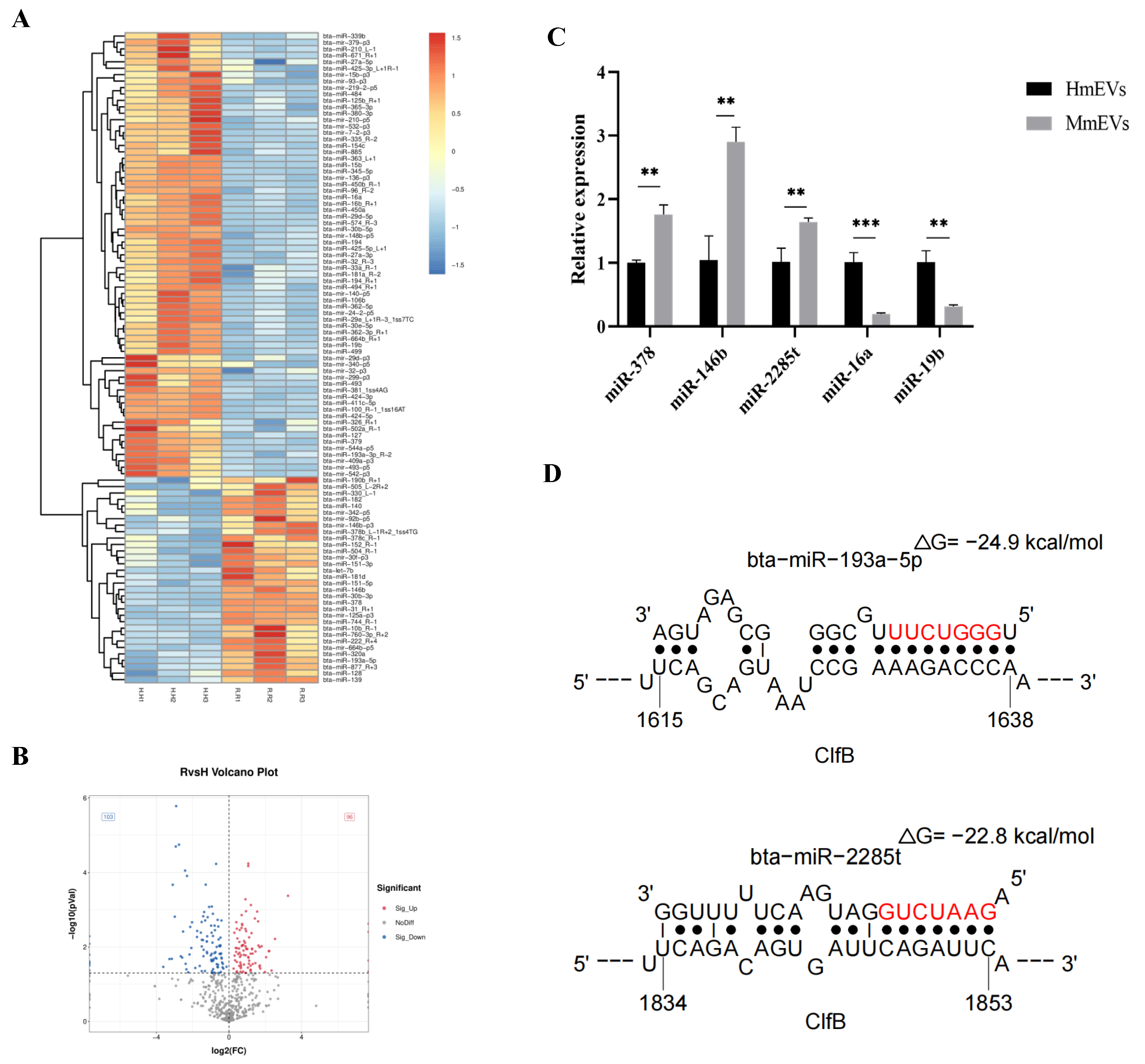 Animals 16 00123 g010 Animals 16 00123 g010