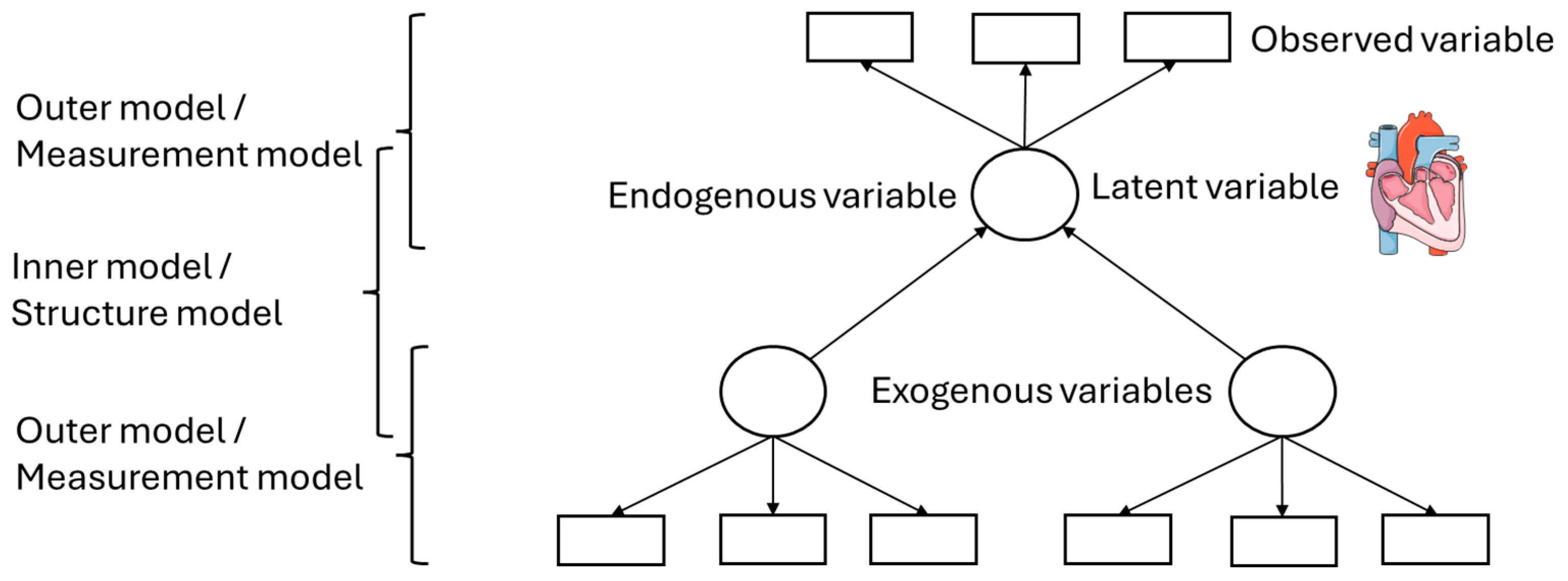 Animals 16 00124 g004