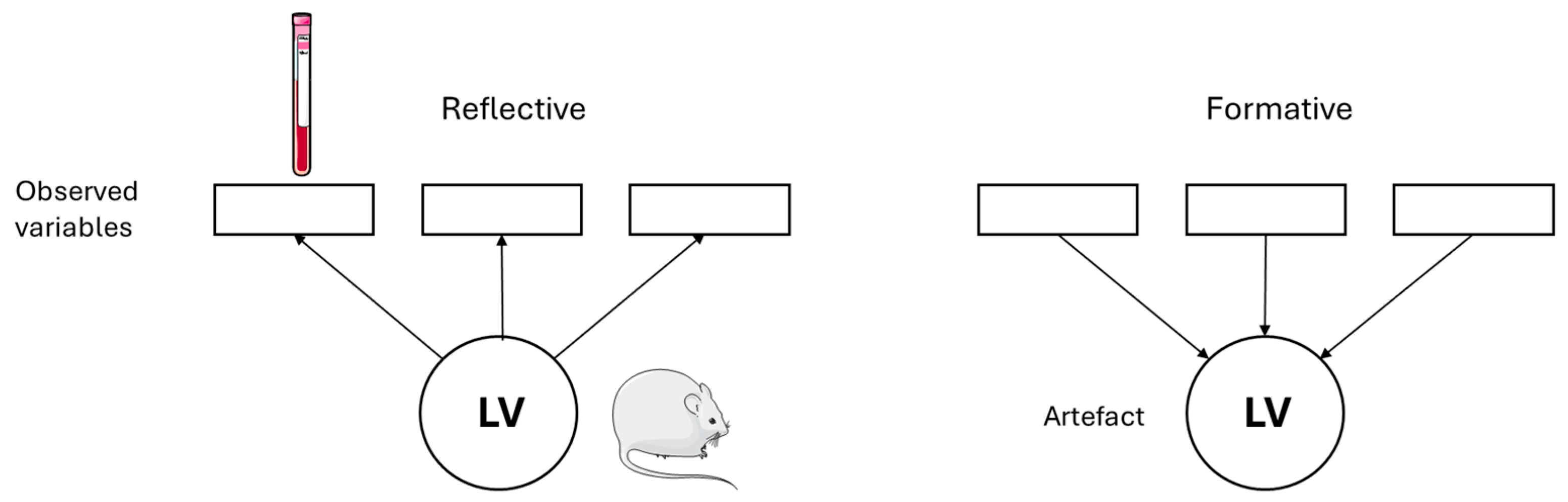 Animals 16 00124 g005