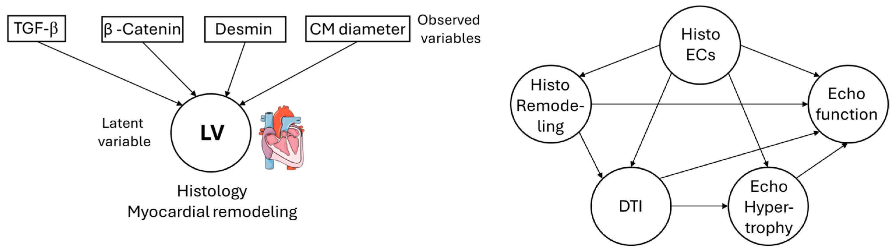 Animals 16 00124 g006