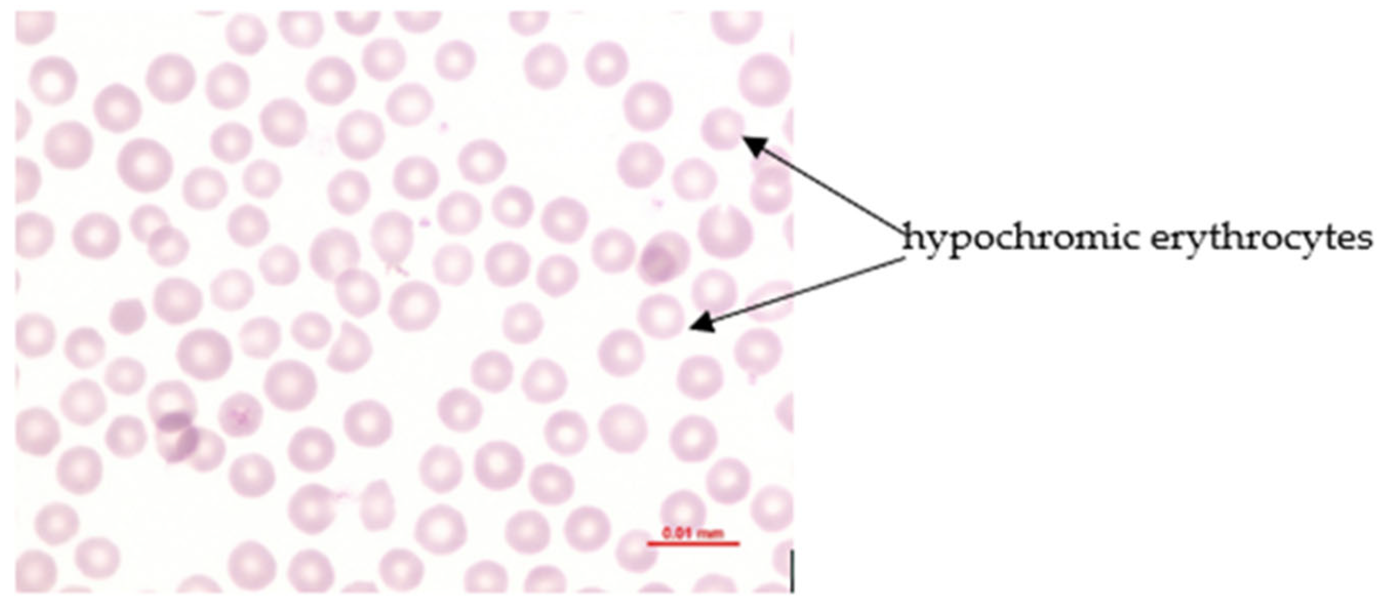 Animals 16 00130 g003