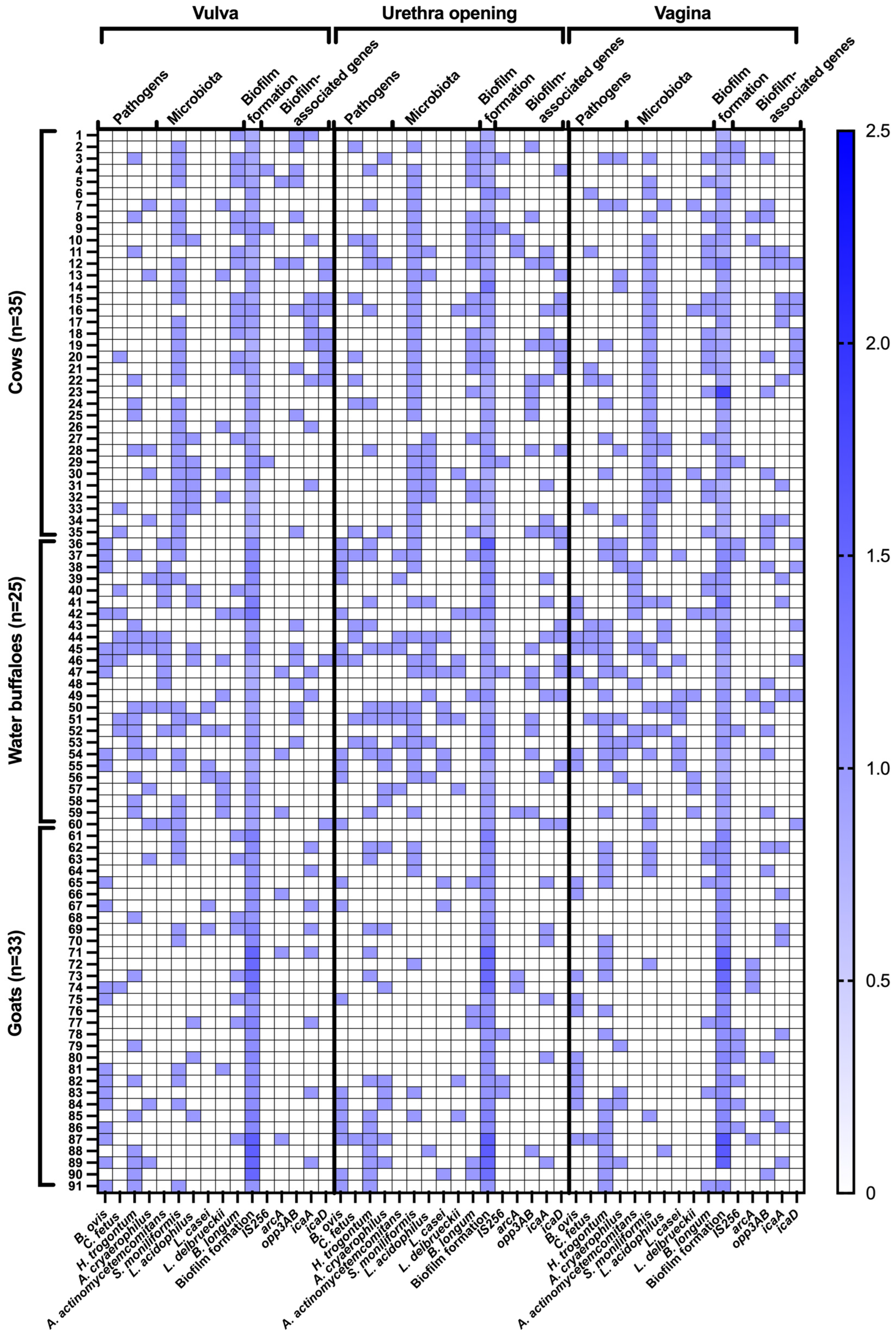 Animals 16 00133 g002
