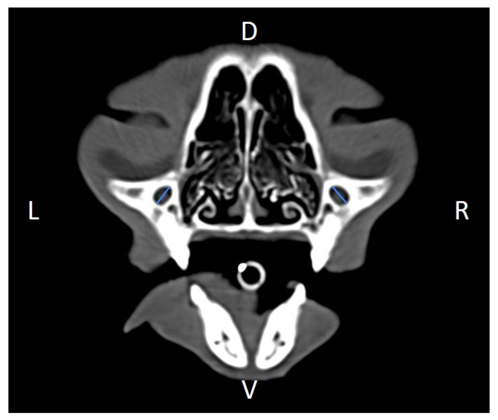 Animals 16 00147 g002