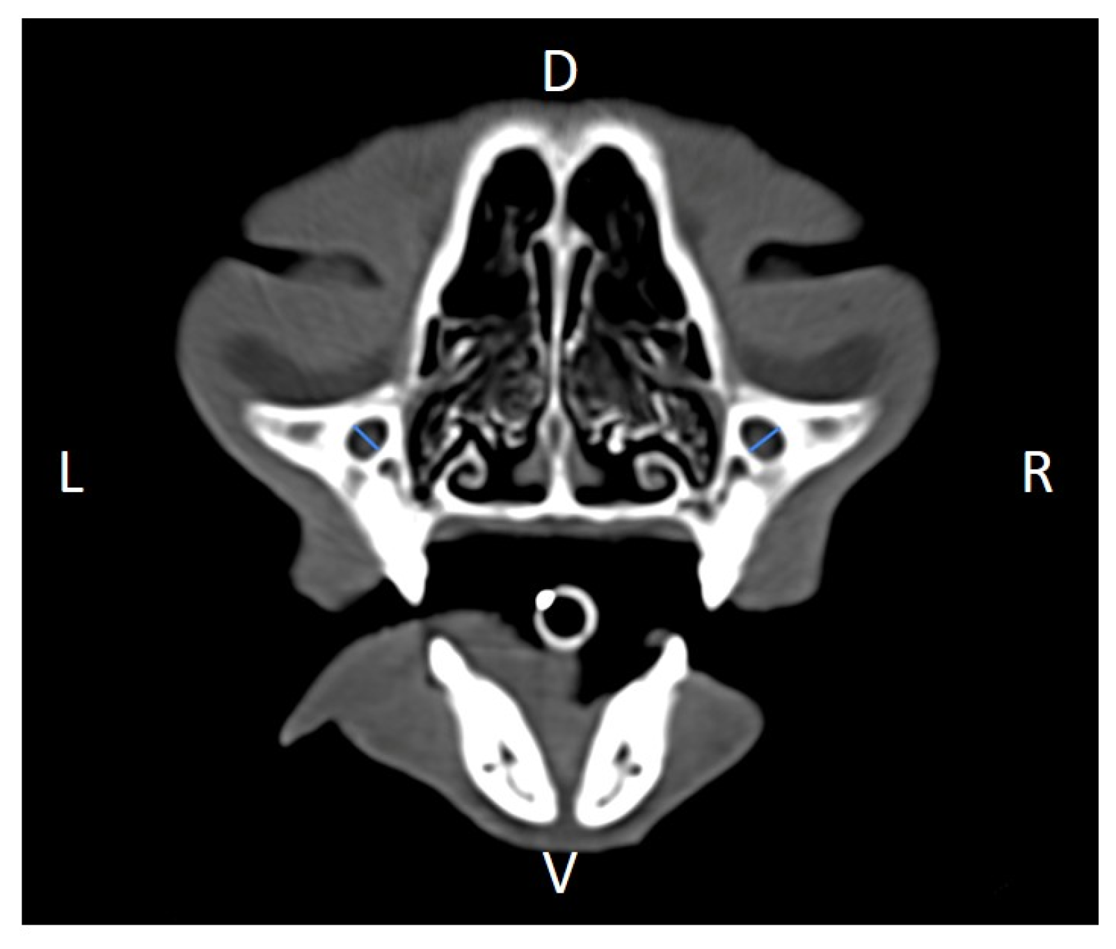 Animals 16 00147 g003