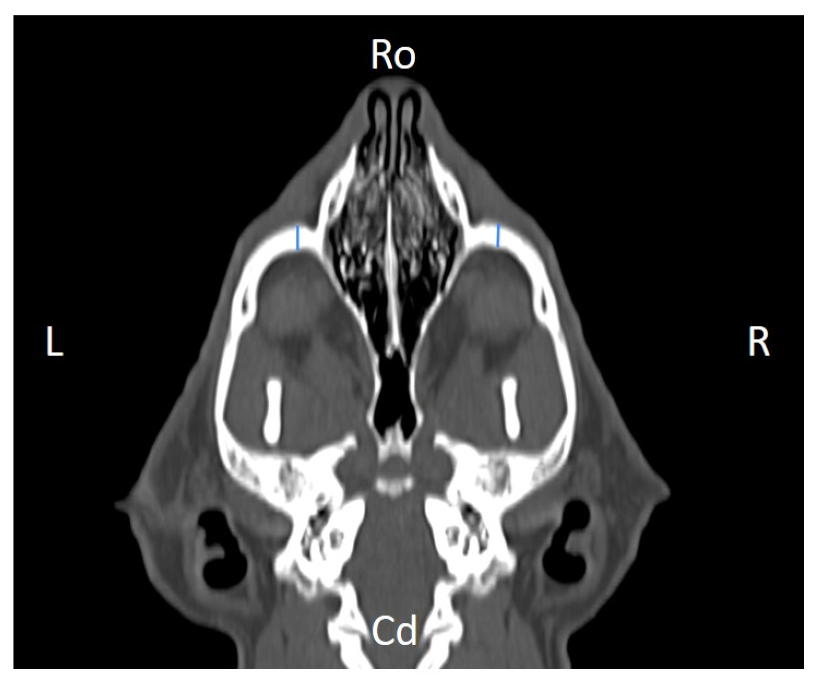Animals 16 00147 g004