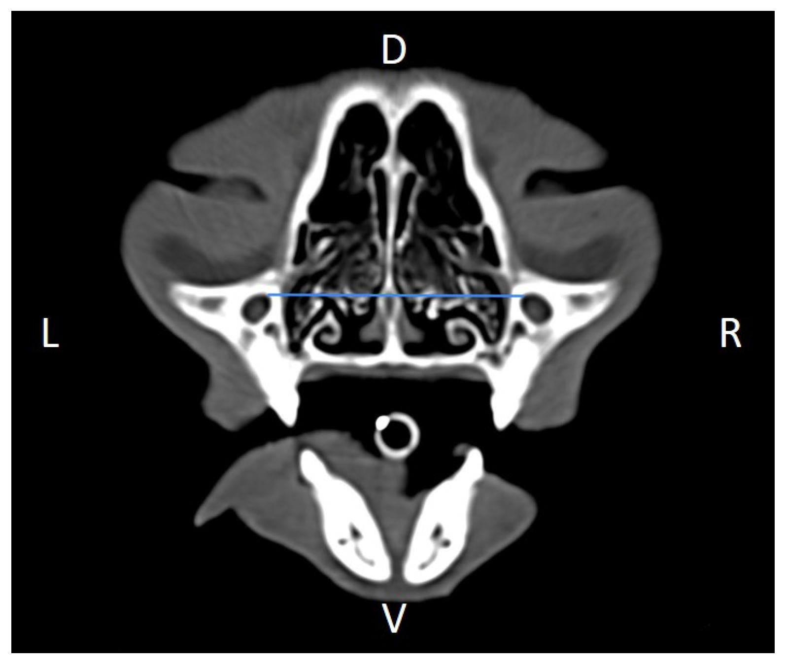 Animals 16 00147 g005