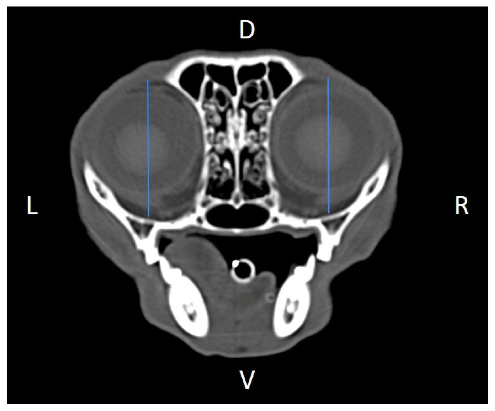 Animals 16 00147 g006