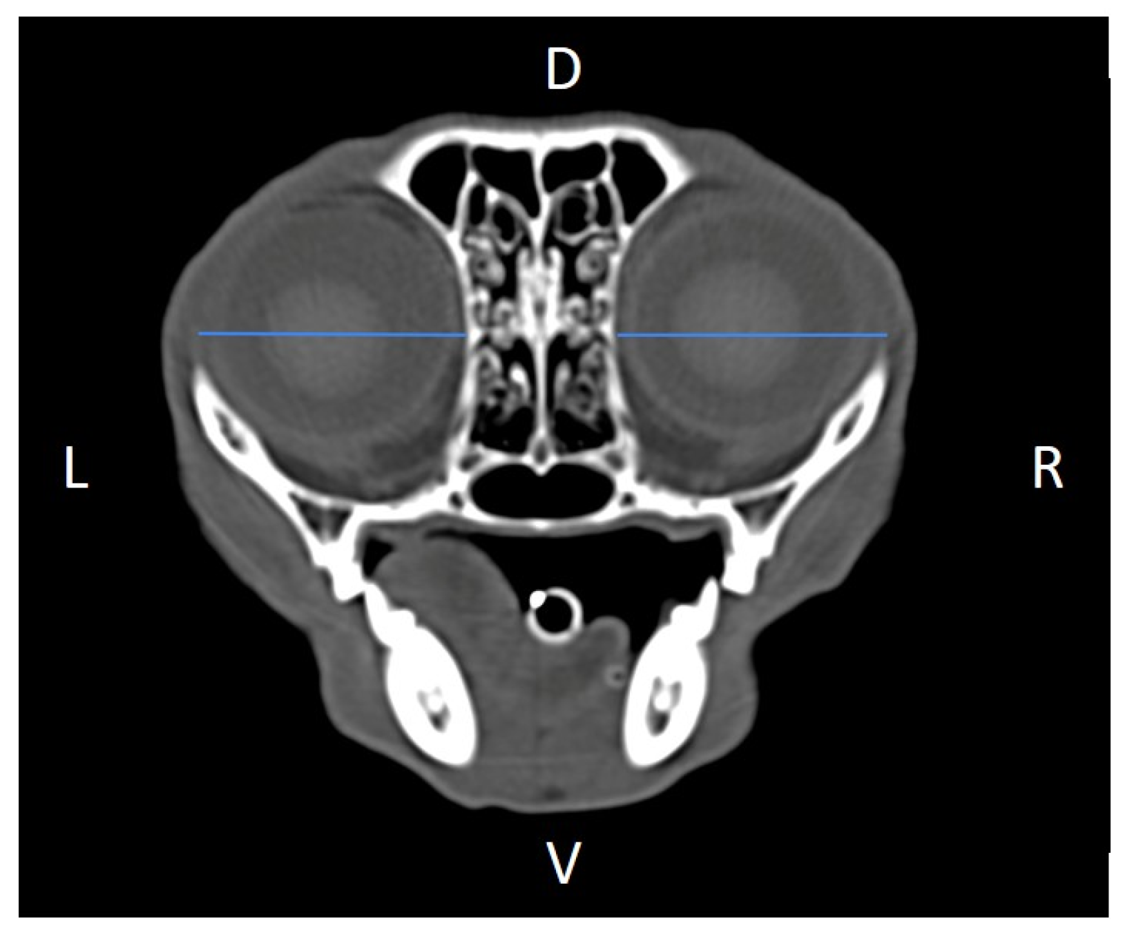 Animals 16 00147 g007