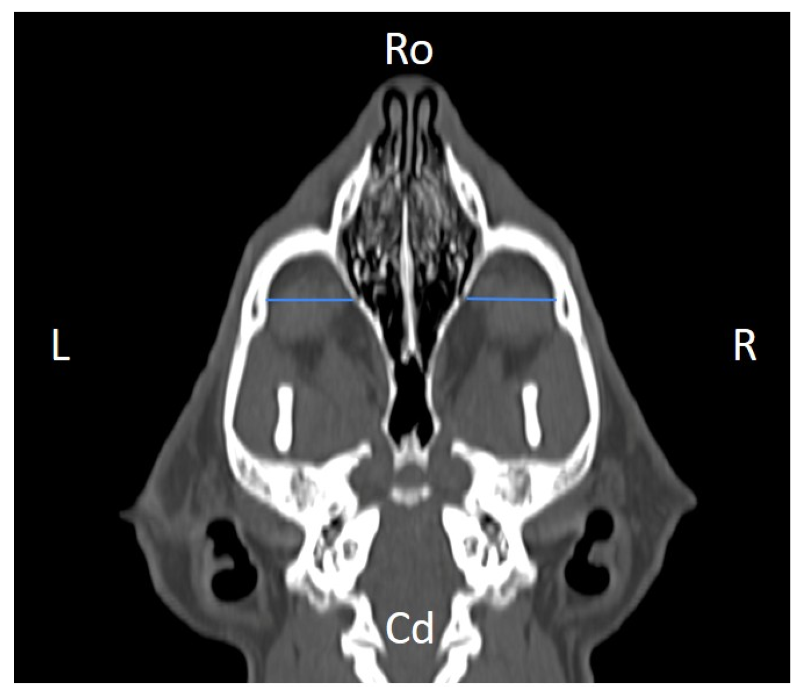 Animals 16 00147 g008