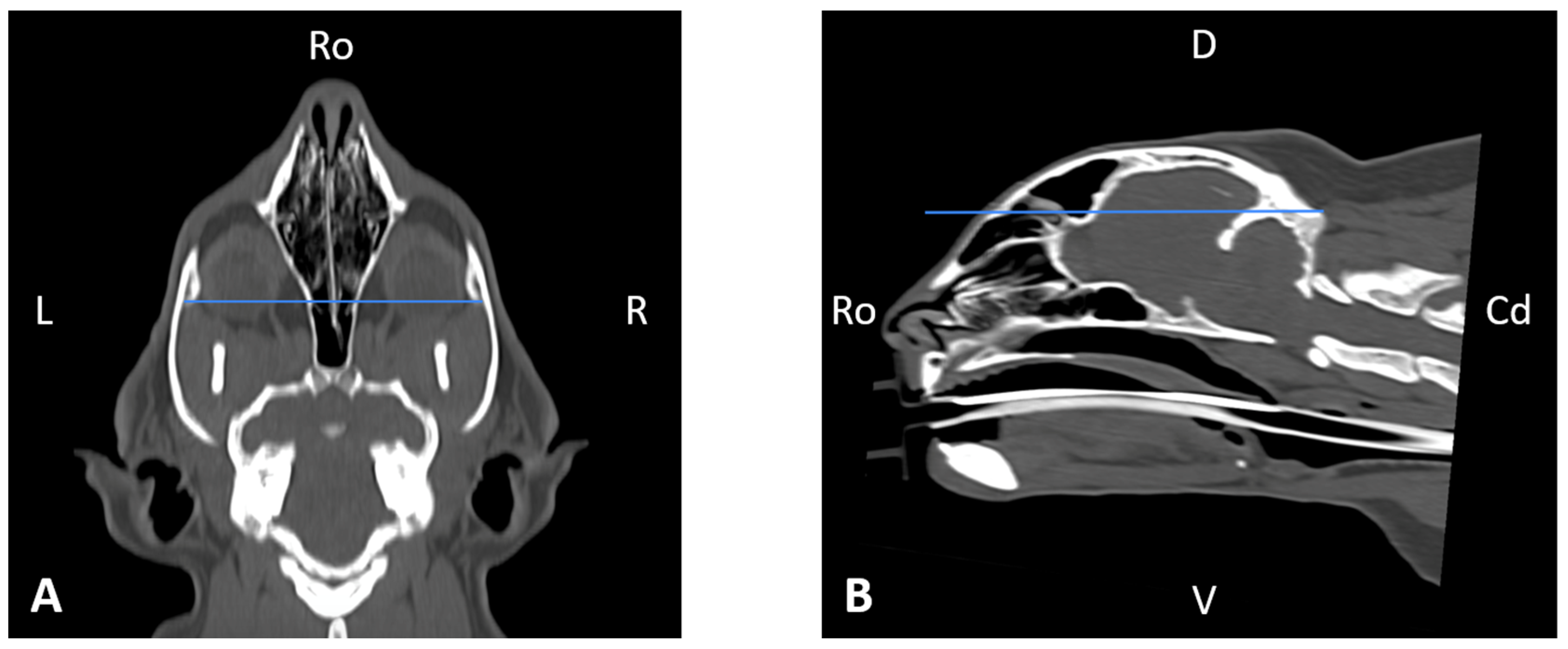 Animals 16 00147 g009