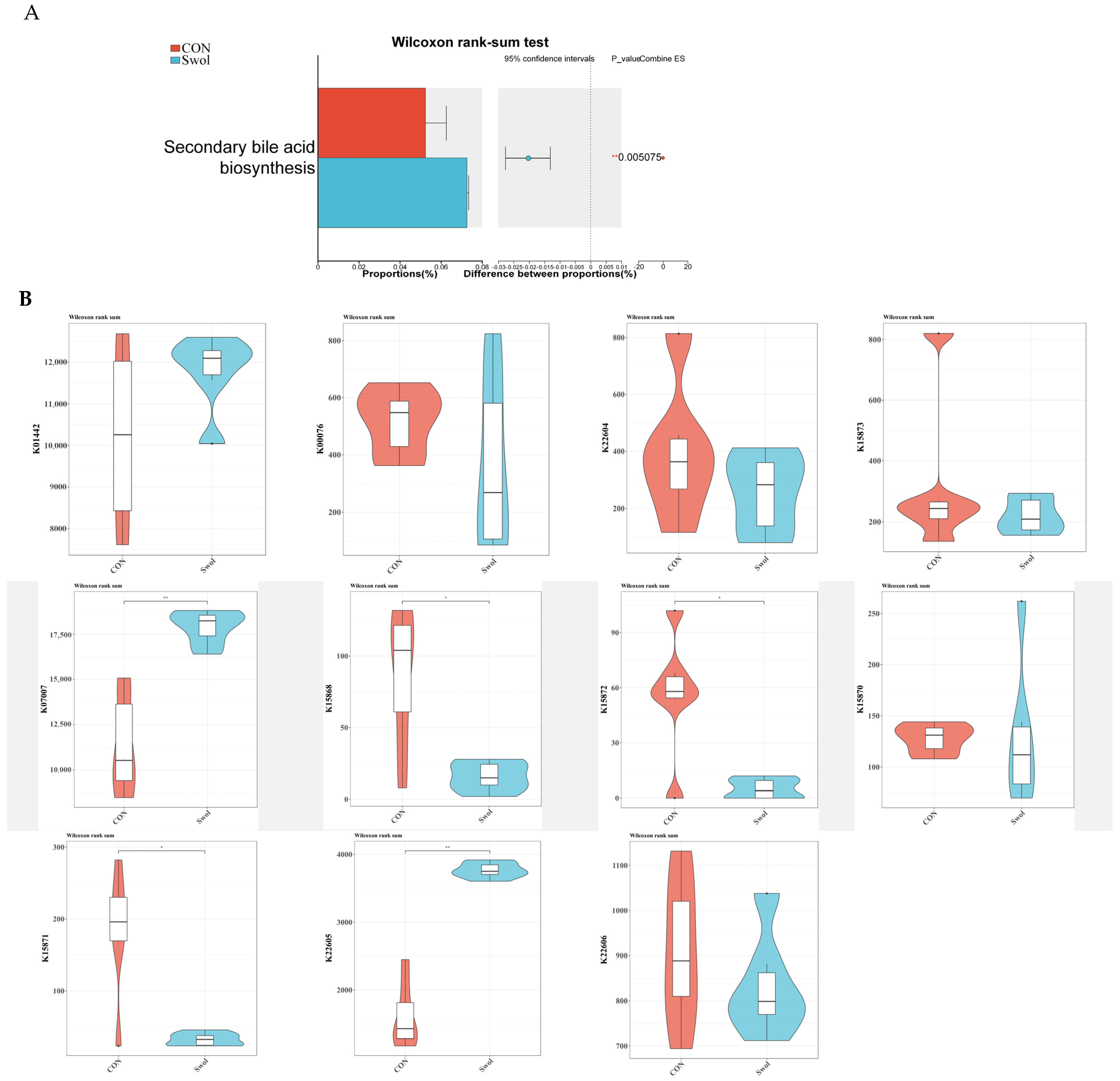 Animals 16 00149 g002