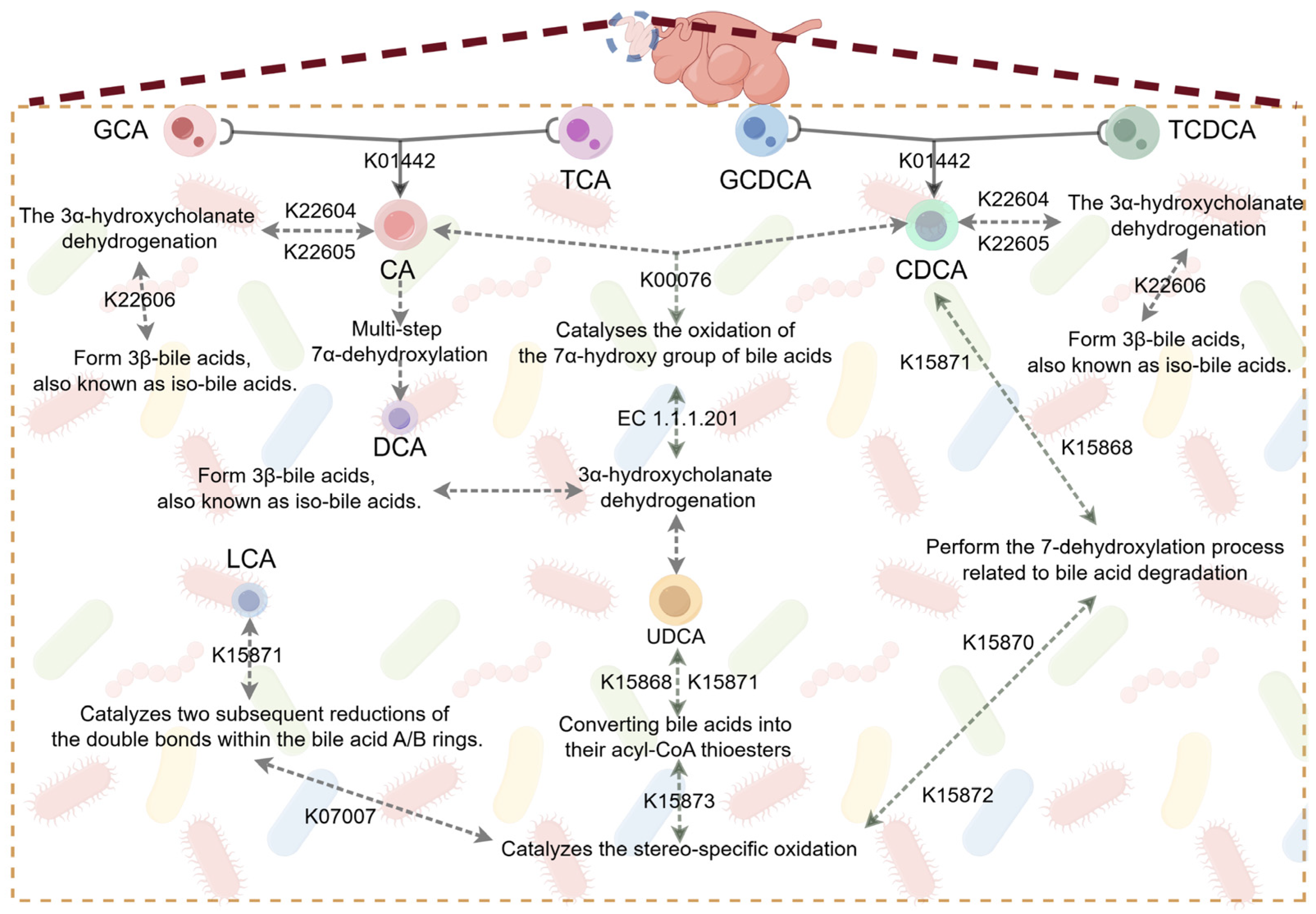 Animals 16 00149 g003