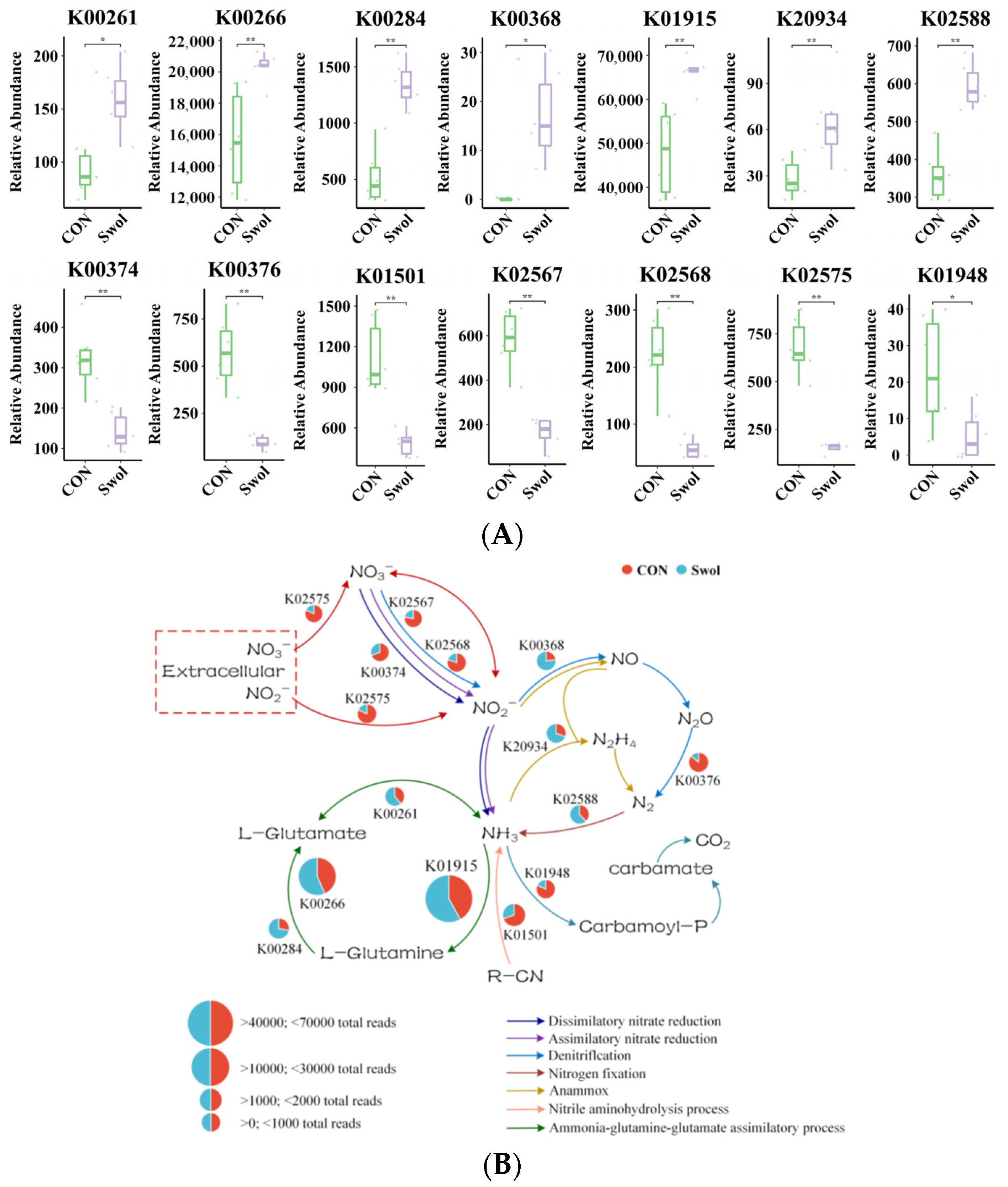 Animals 16 00149 g005