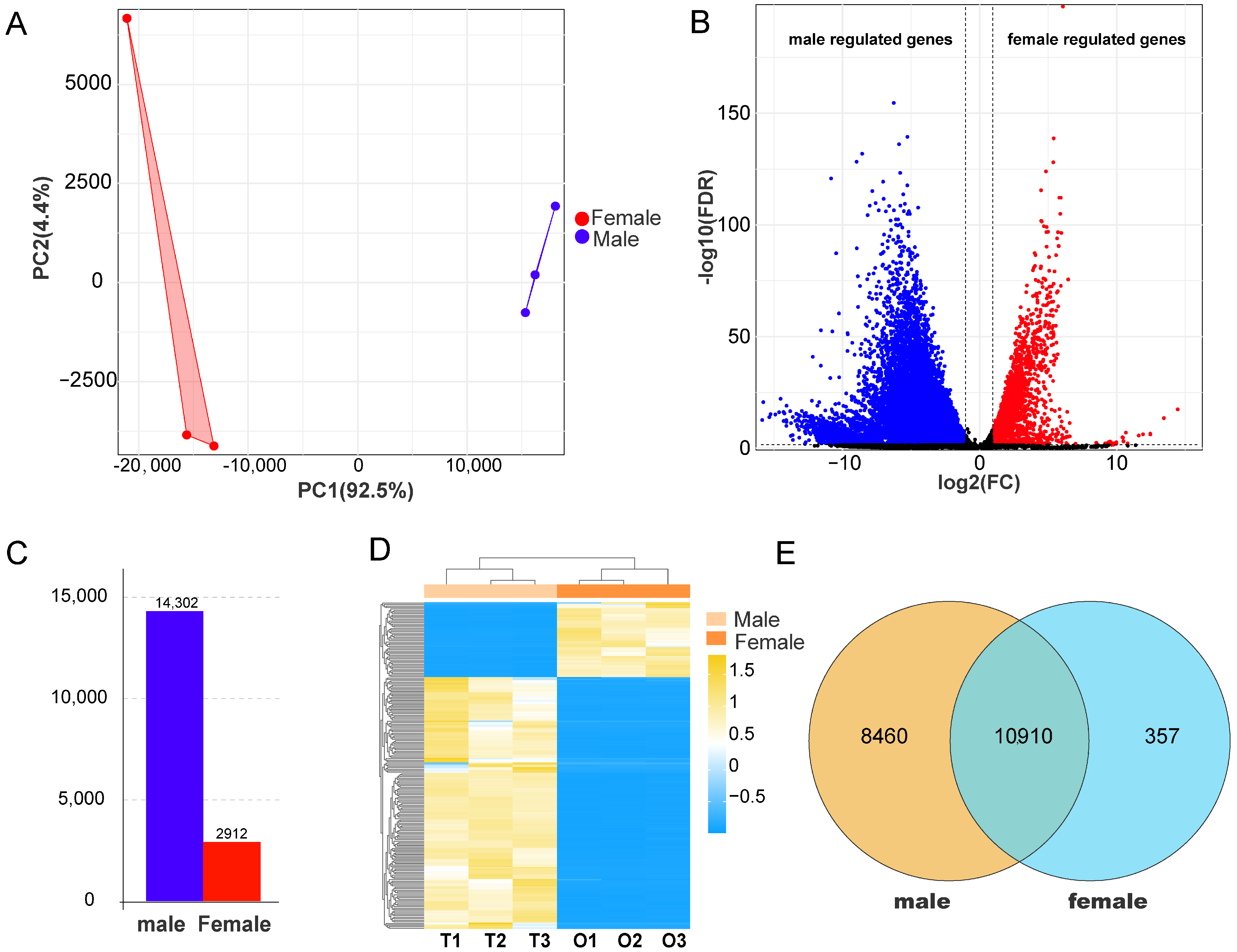 Animals 16 00150 g002