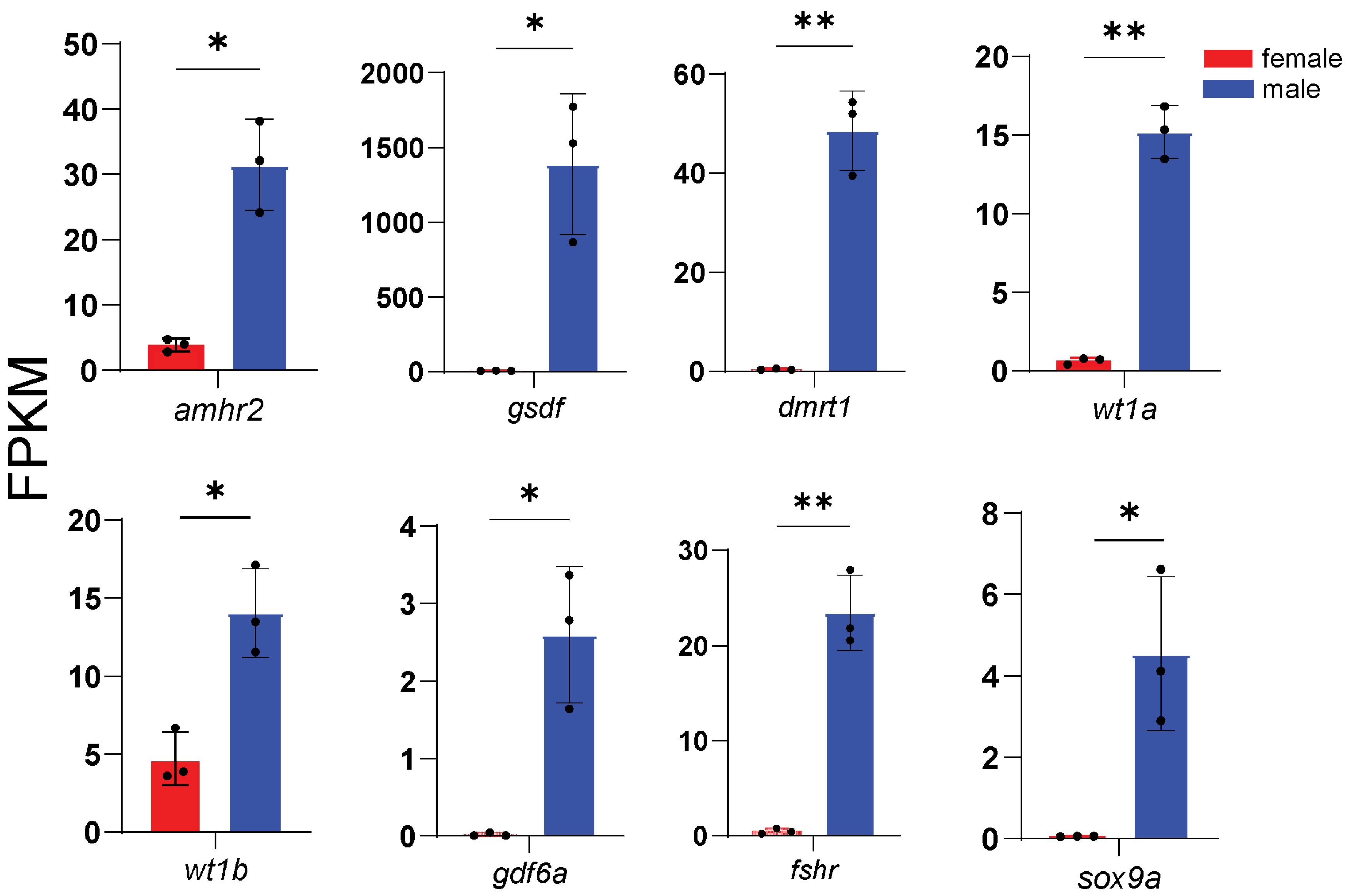 Animals 16 00150 g005