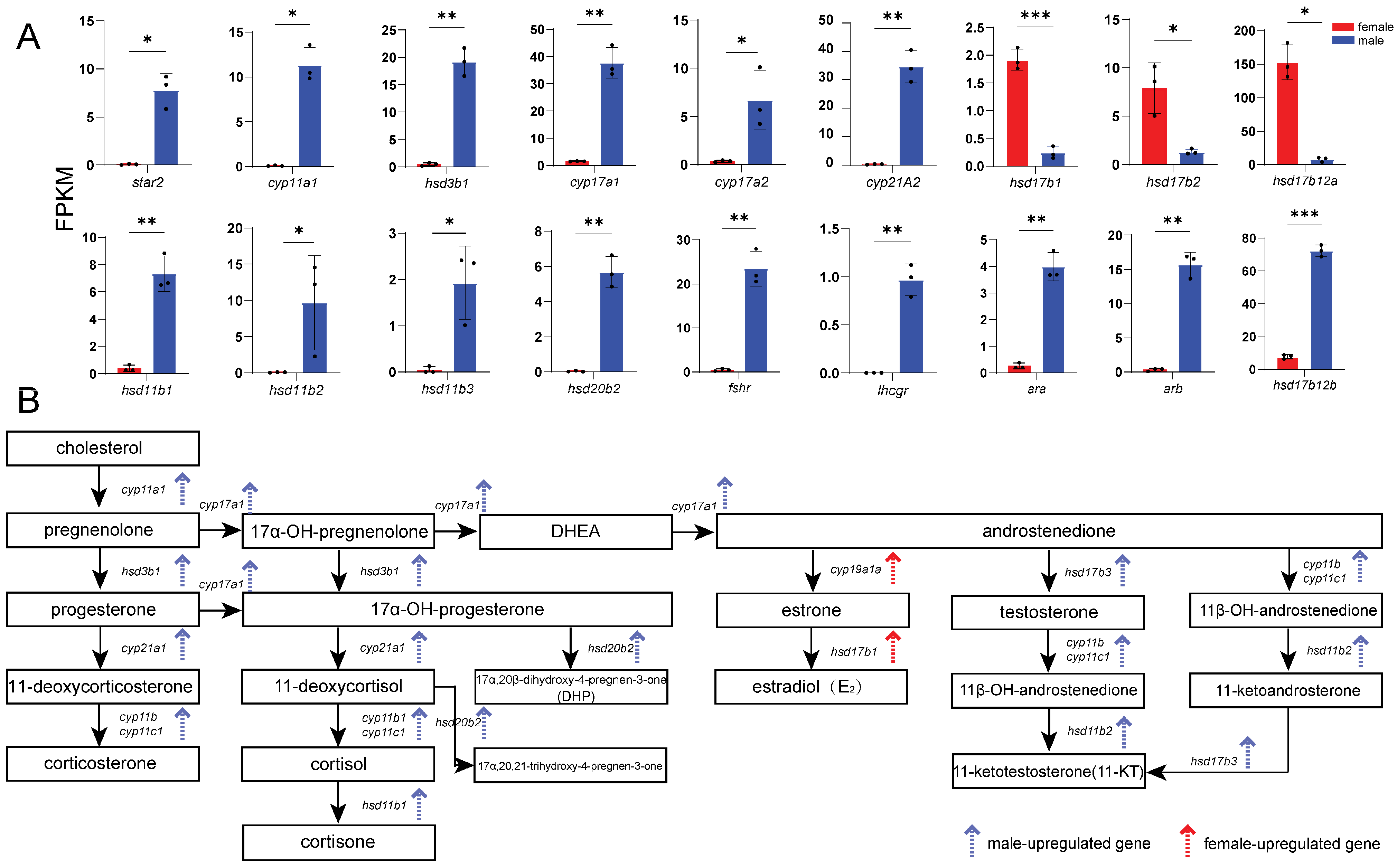 Animals 16 00150 g009