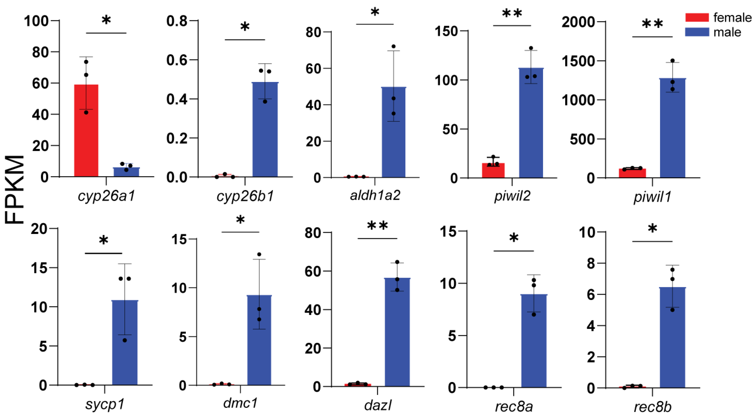 Animals 16 00150 g010