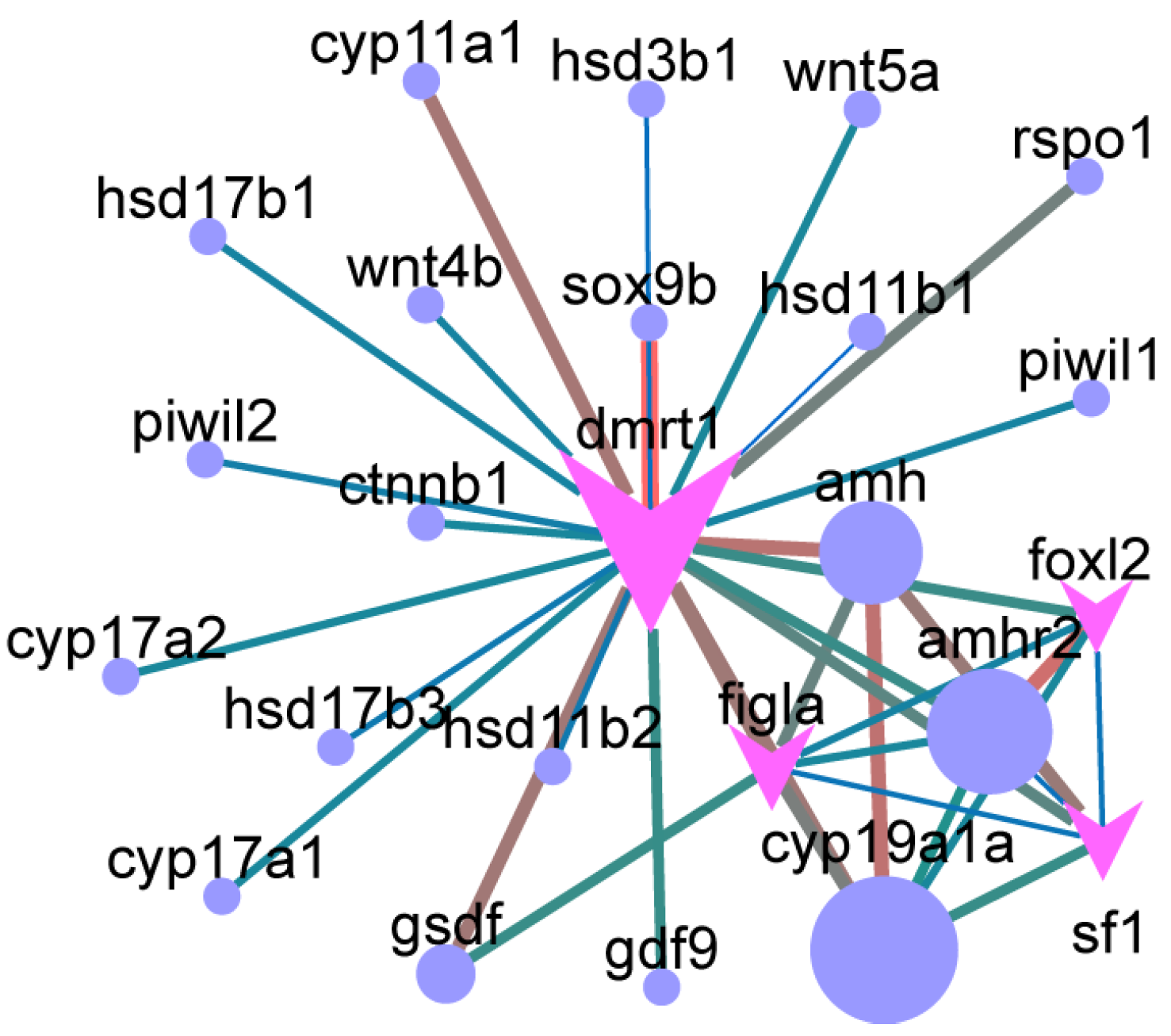 Animals 16 00150 g011