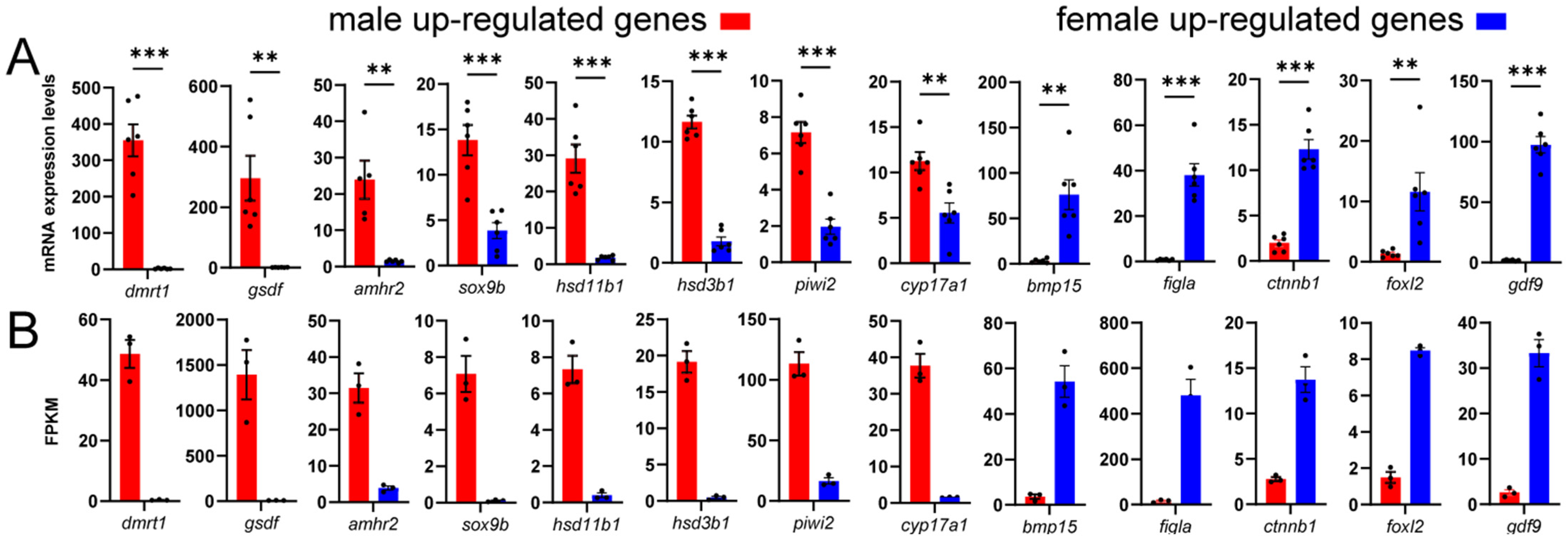 Animals 16 00150 g013