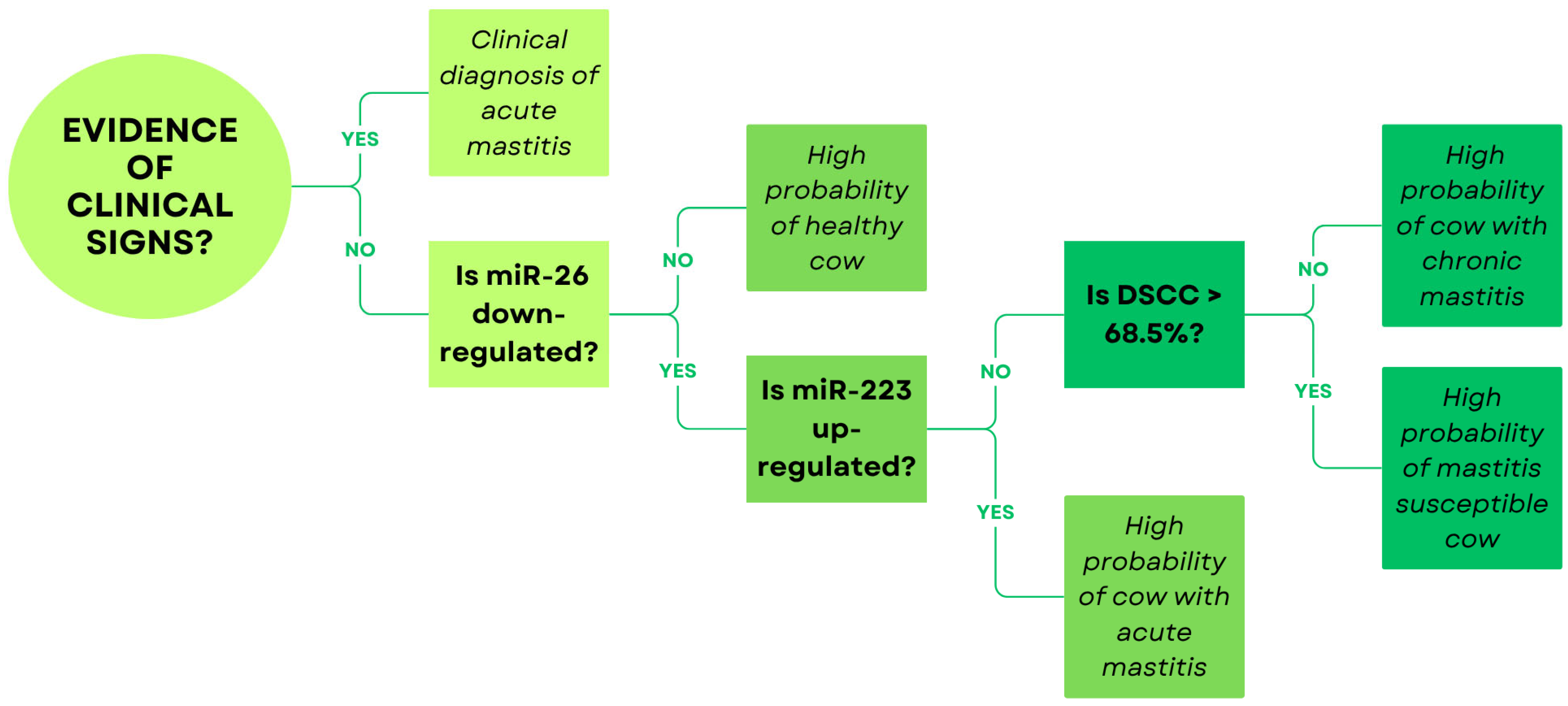 Animals 16 00159 g001