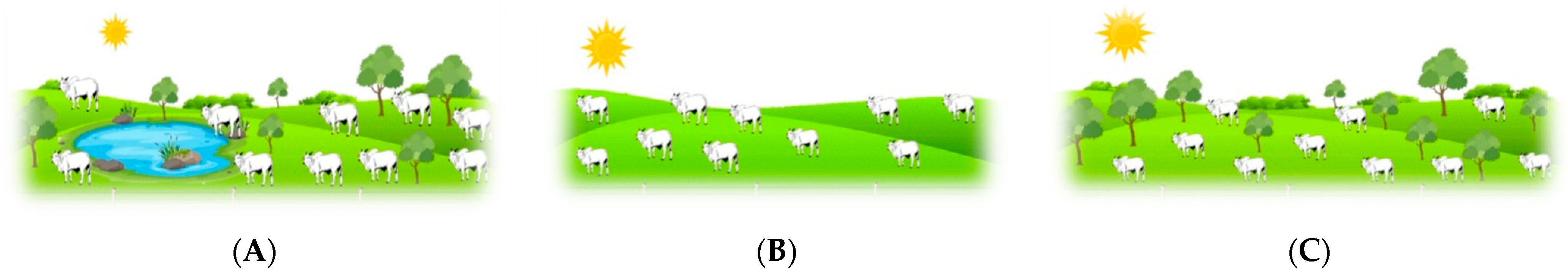 Animals 16 00161 g002