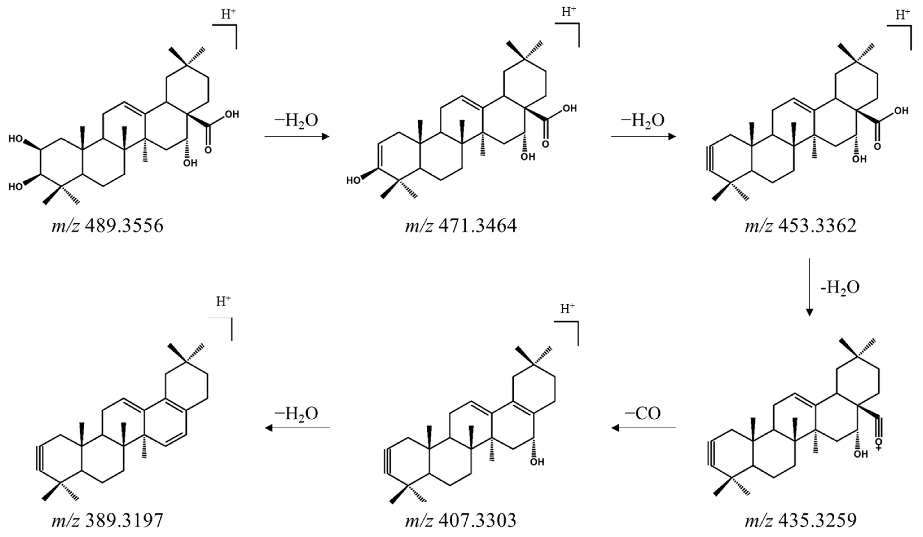 Animals 16 00163 g002