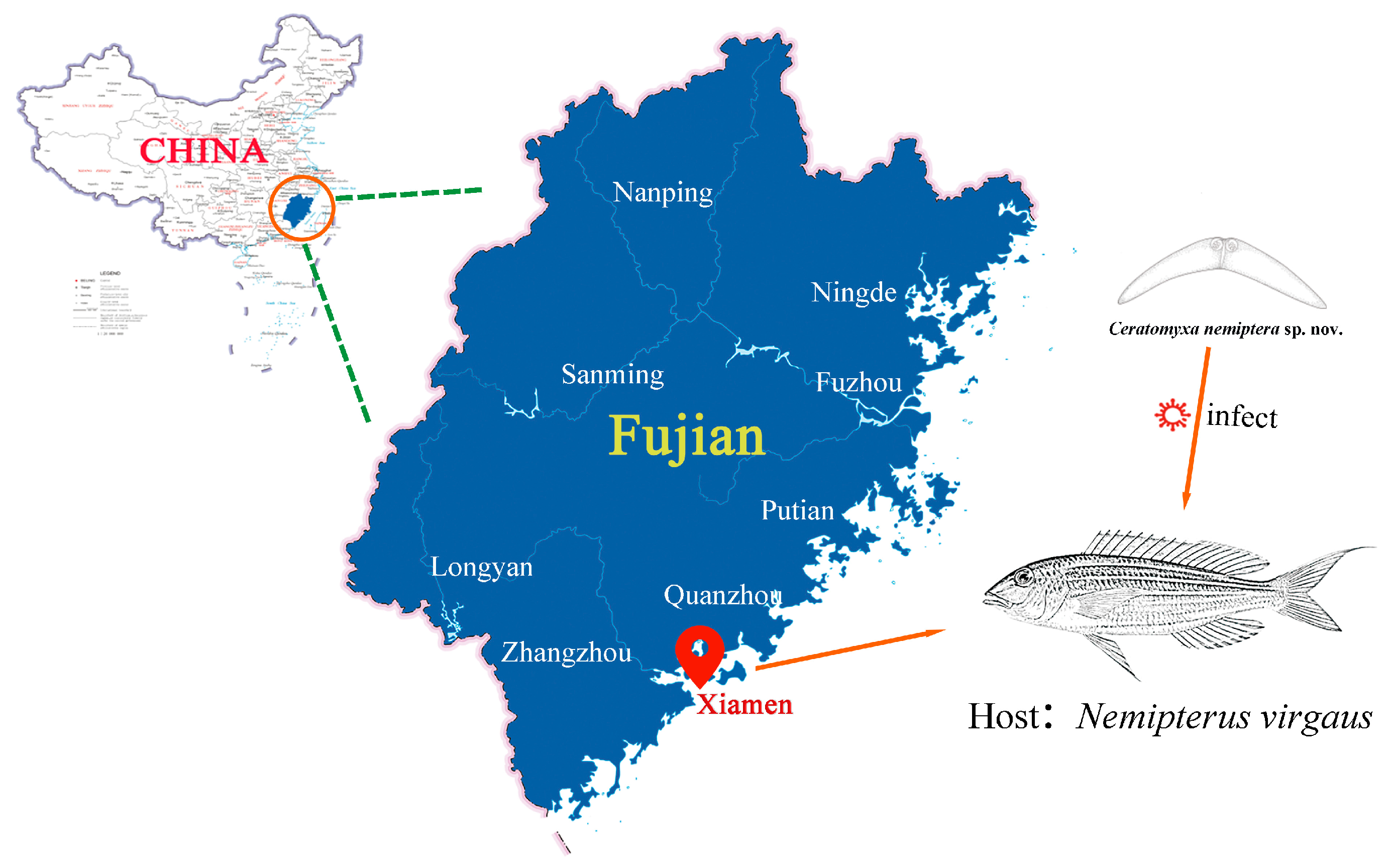 Animals 16 00166 g001