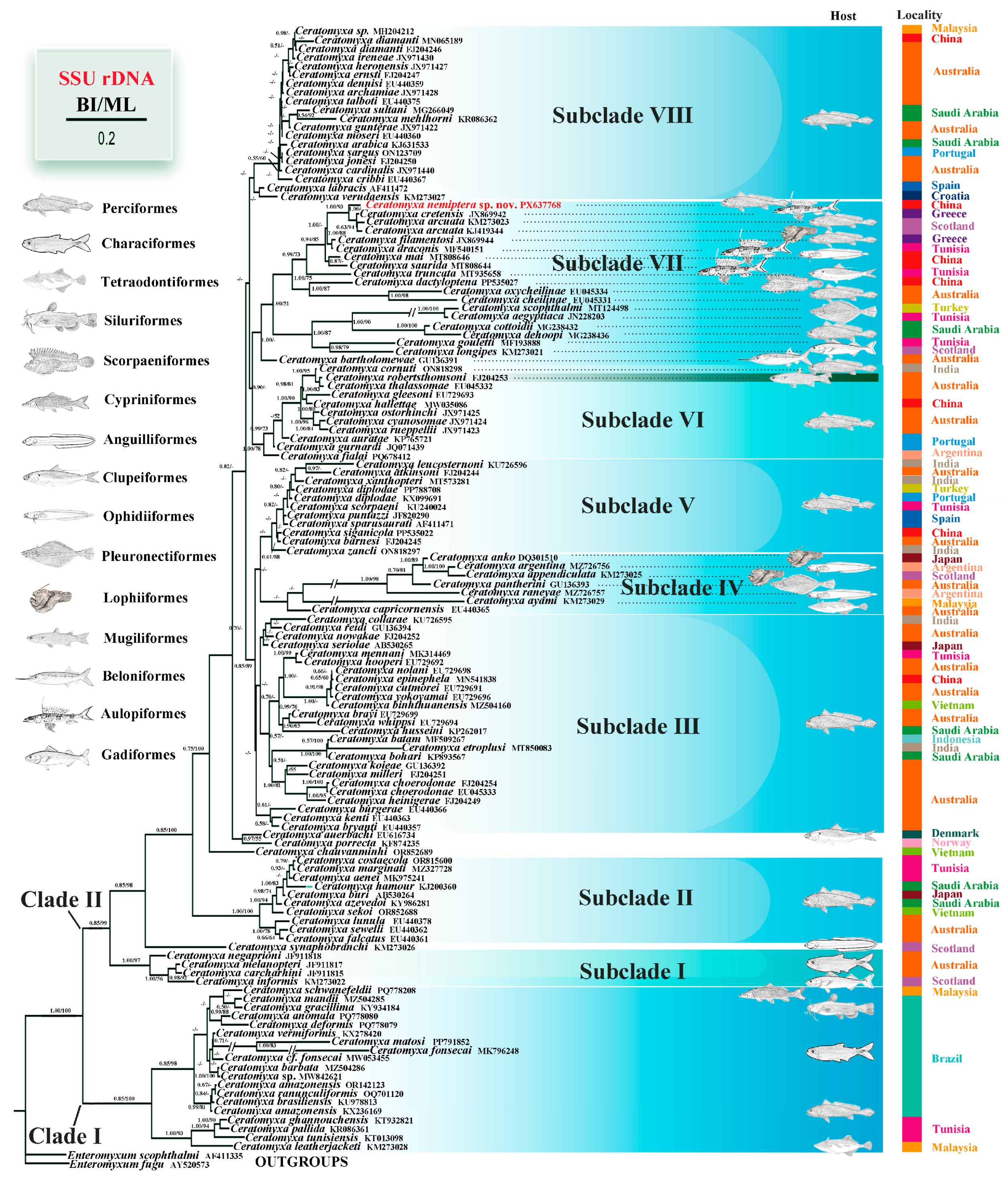 Animals 16 00166 g003