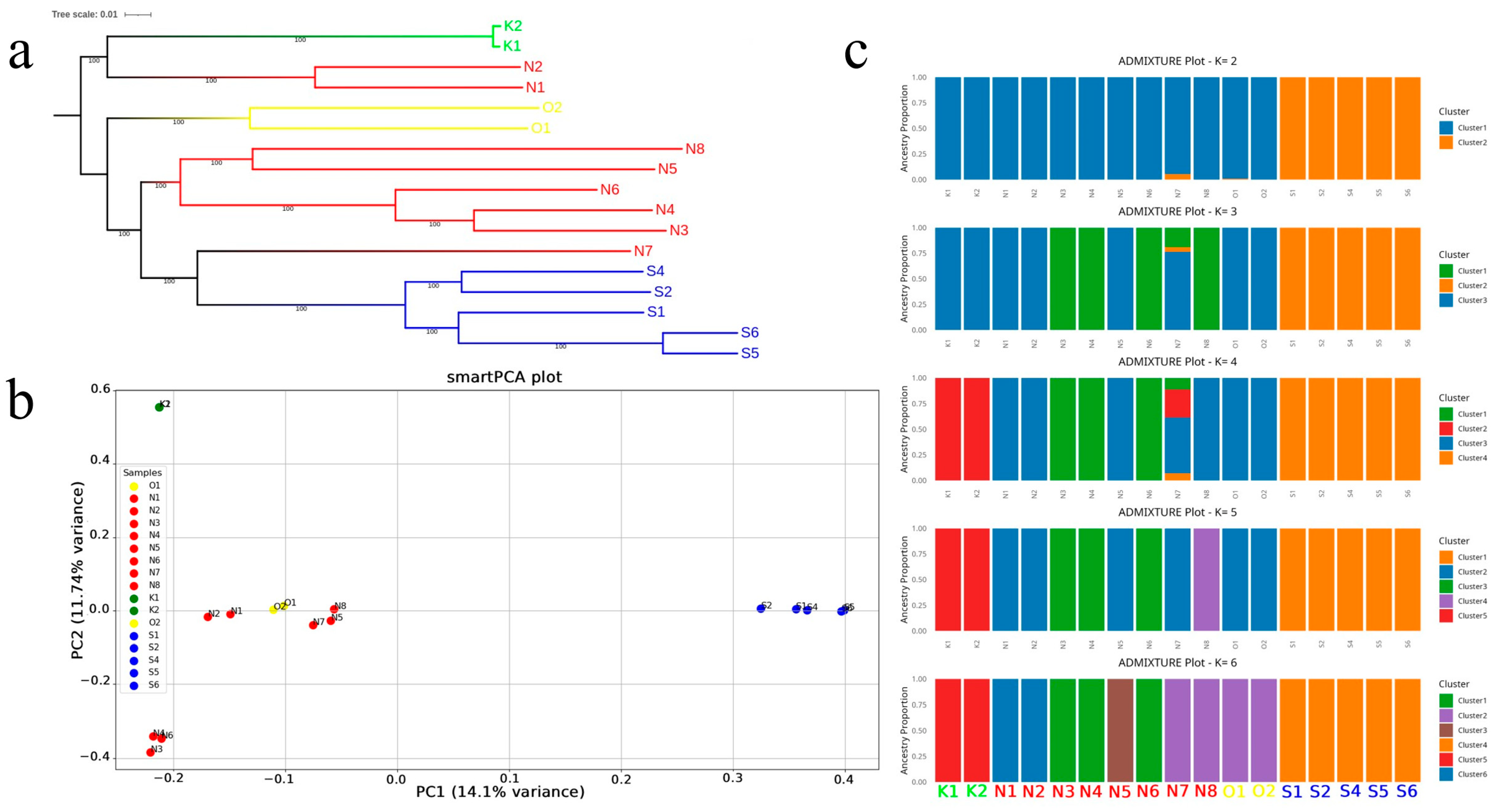 Animals 16 00169 g002