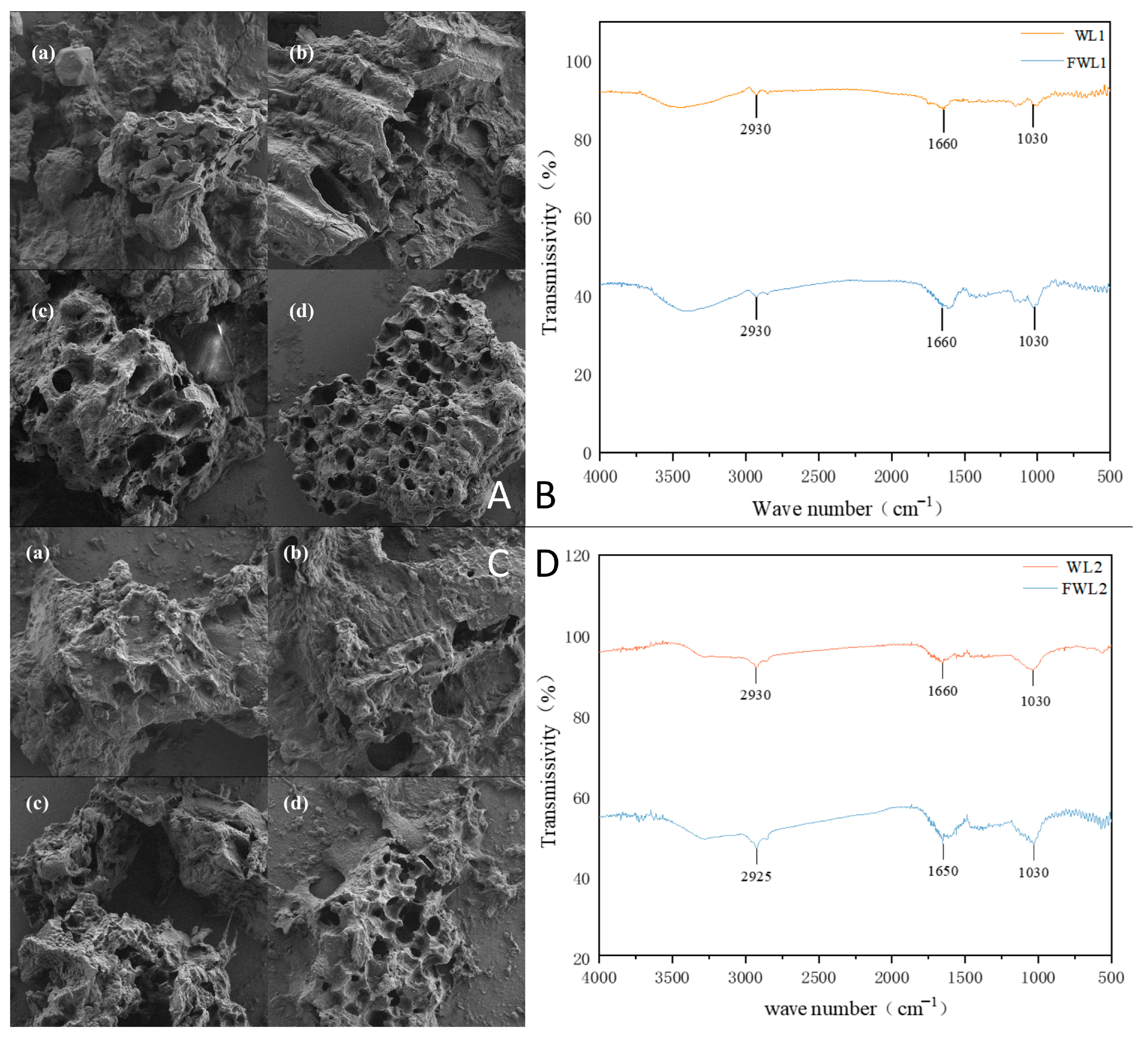 Animals 16 00170 g005