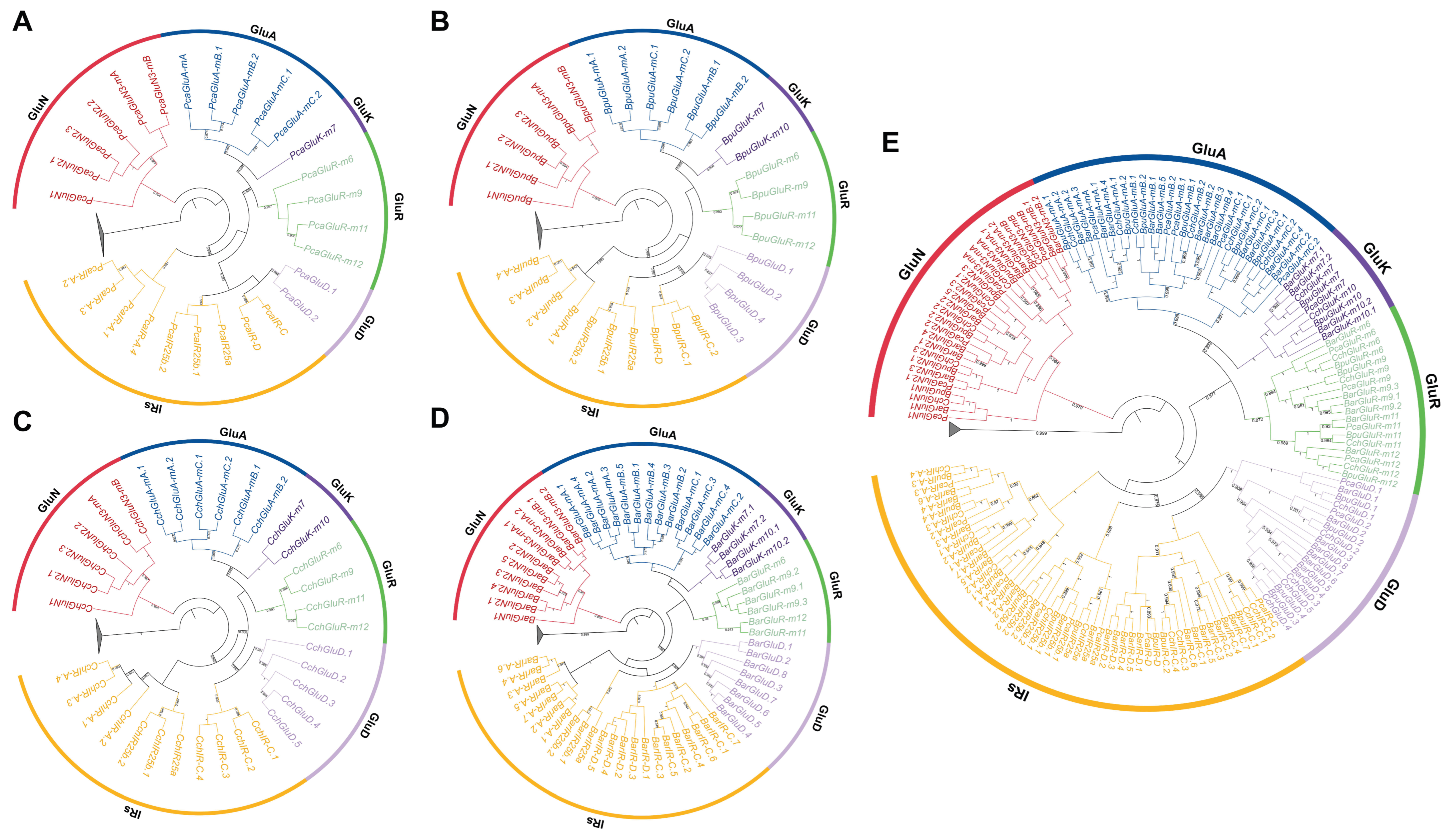Animals 16 00172 g002