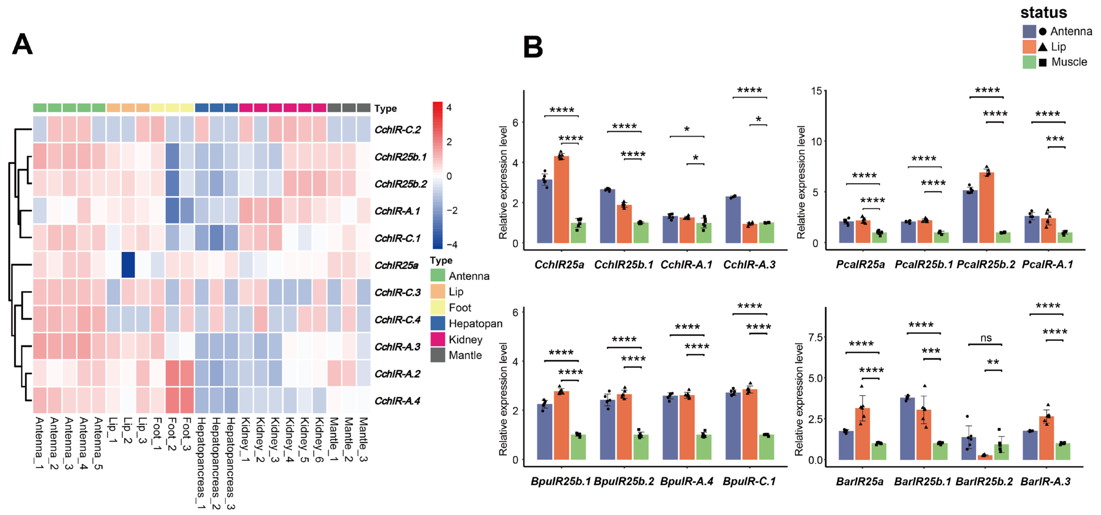 Animals 16 00172 g006