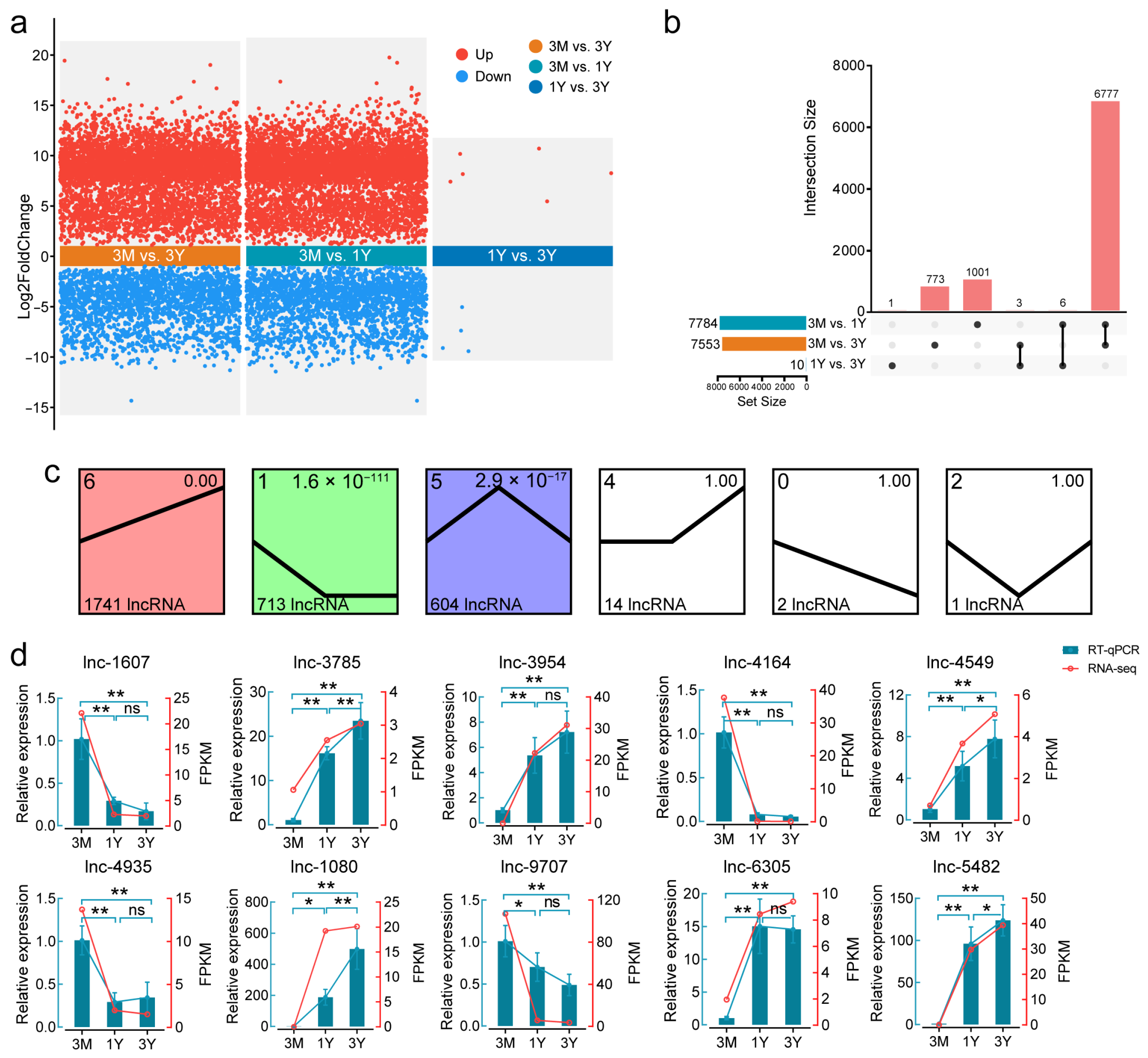 Animals 16 00176 g002