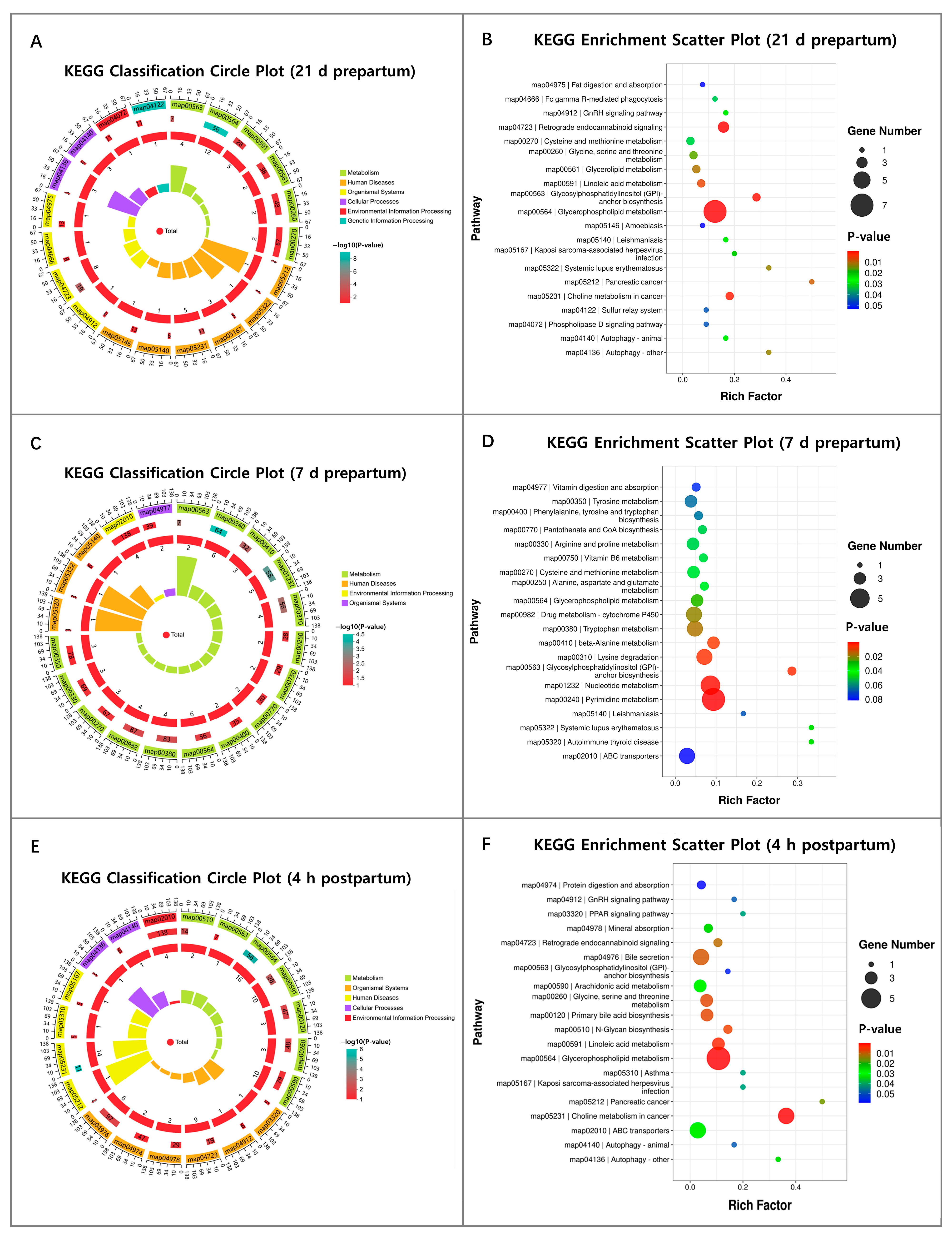 Animals 16 00229 g006