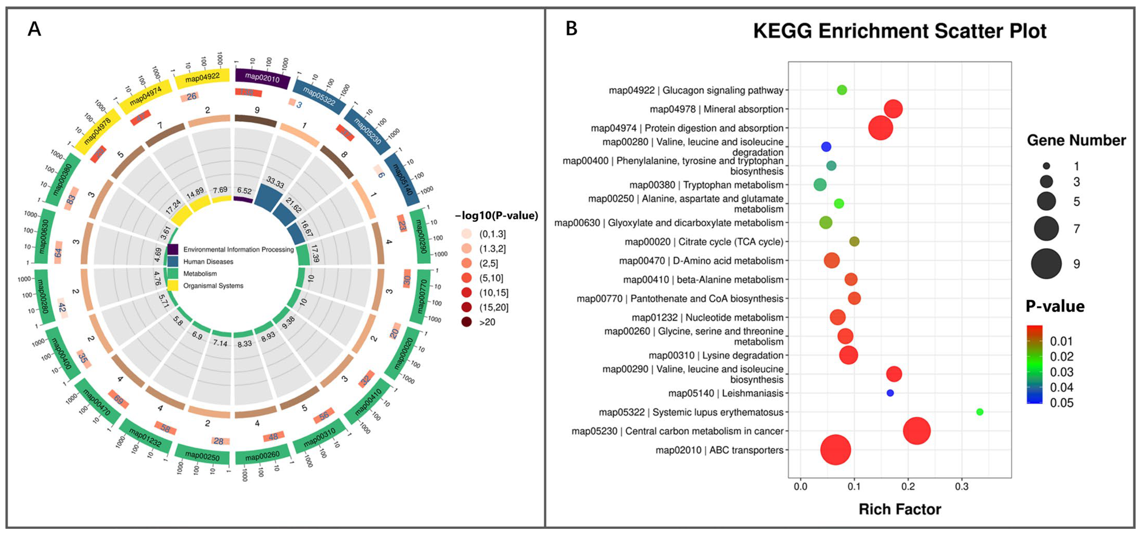 Animals 16 00229 g014
