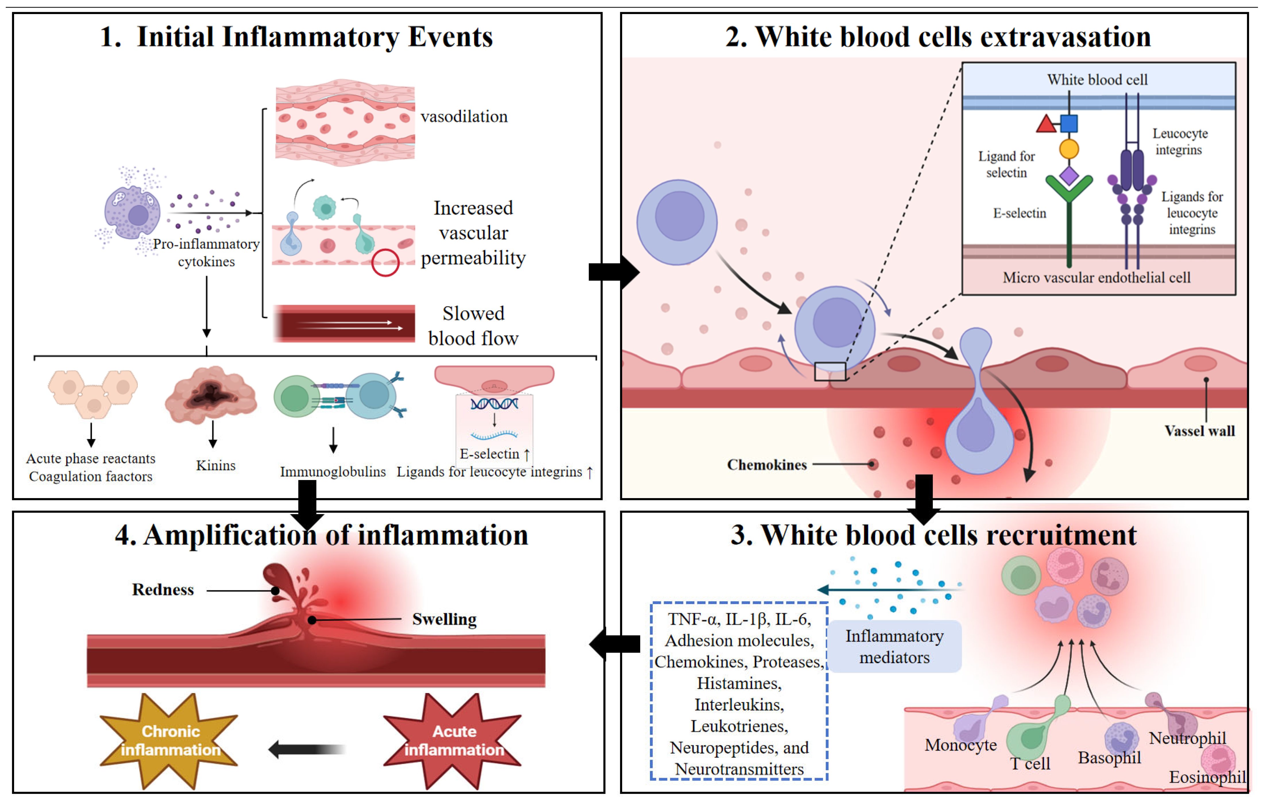 Animals 16 00236 g005