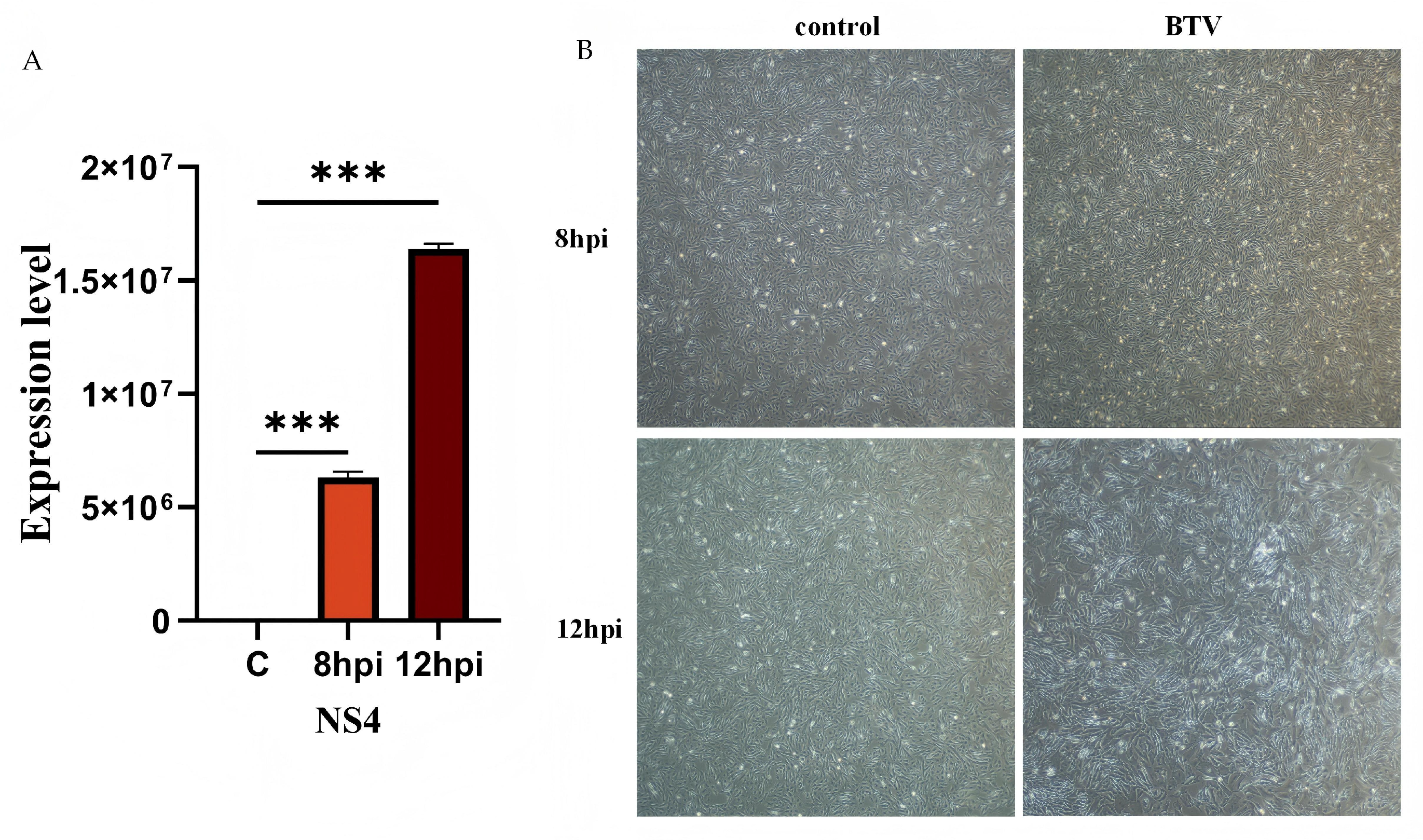 Animals 16 00243 g001