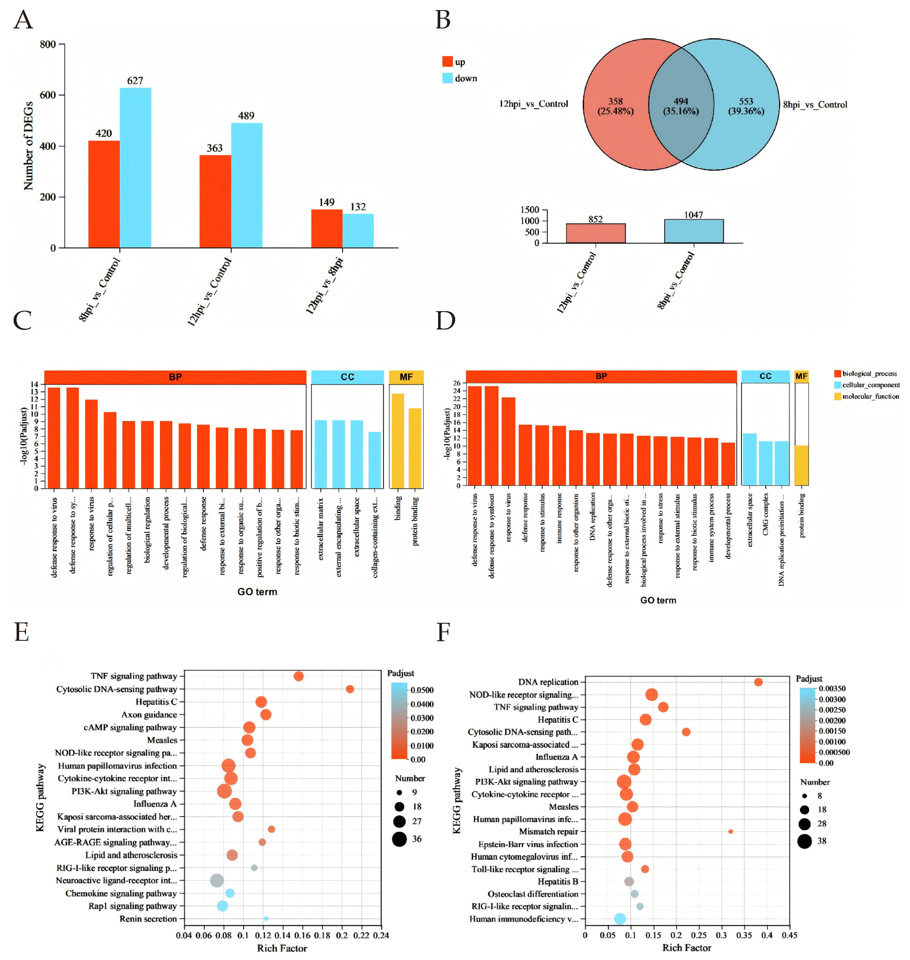 Animals 16 00243 g003