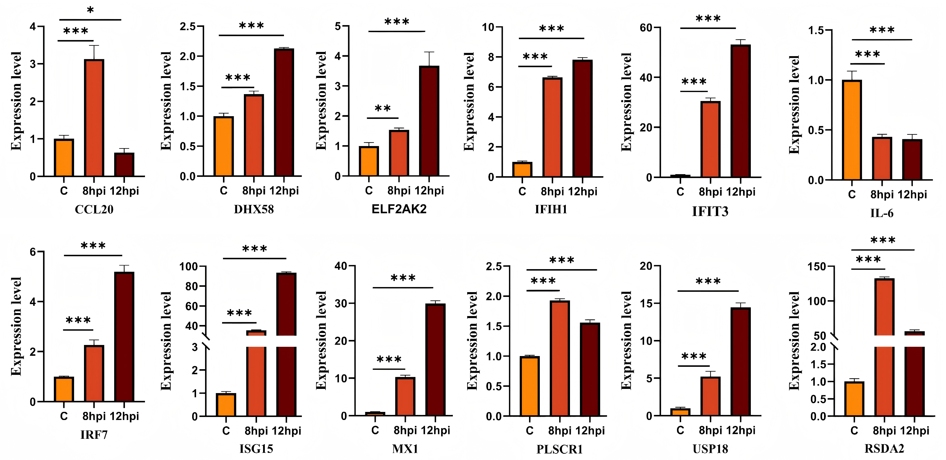 Animals 16 00243 g006