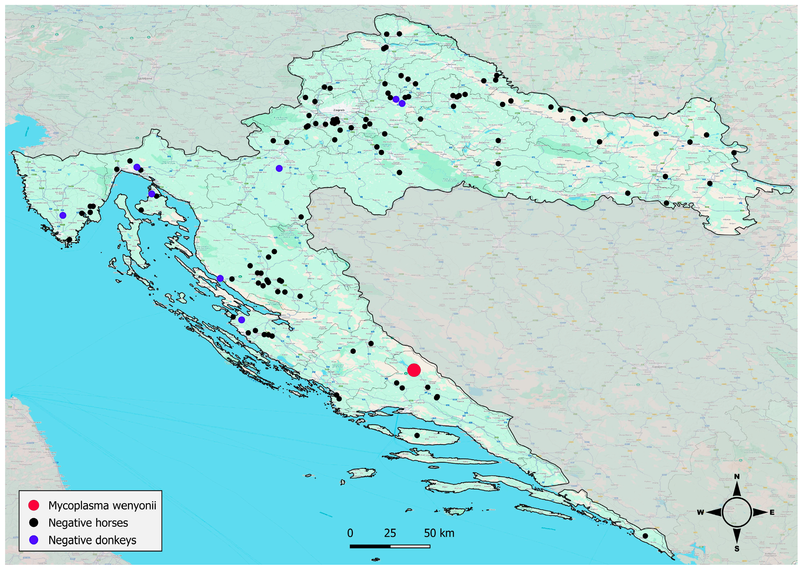 Animals 16 00263 g001