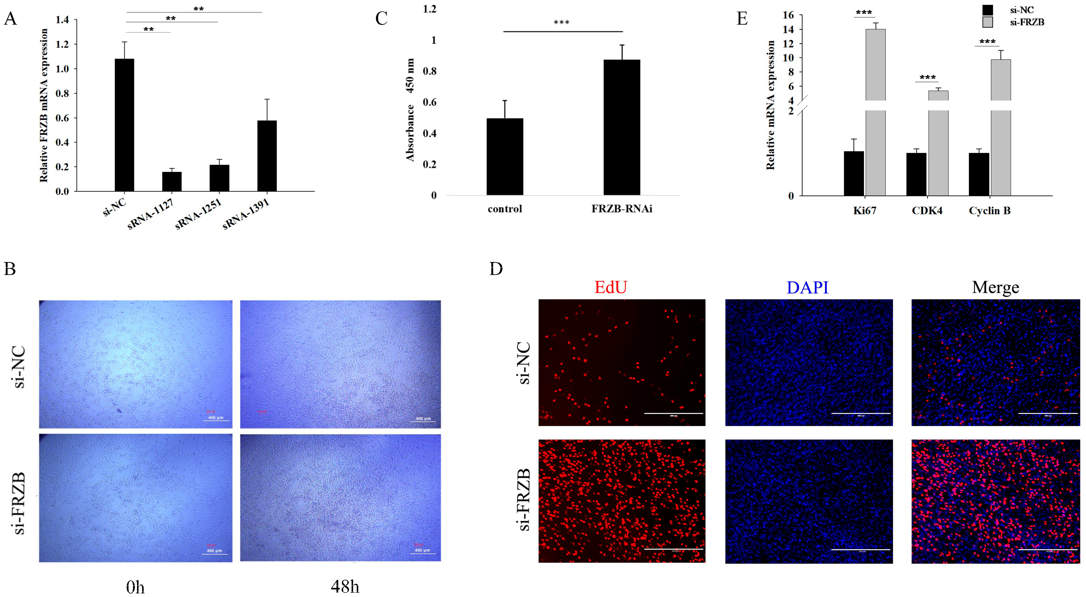 Animals 16 00276 g002