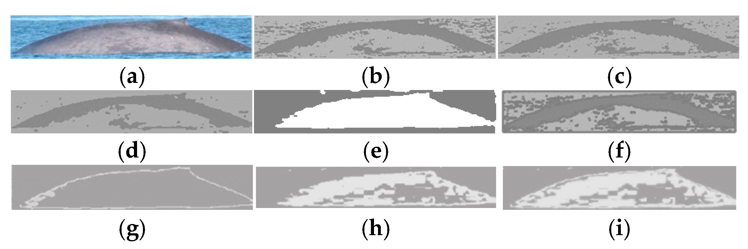 Animals 16 00281 g007