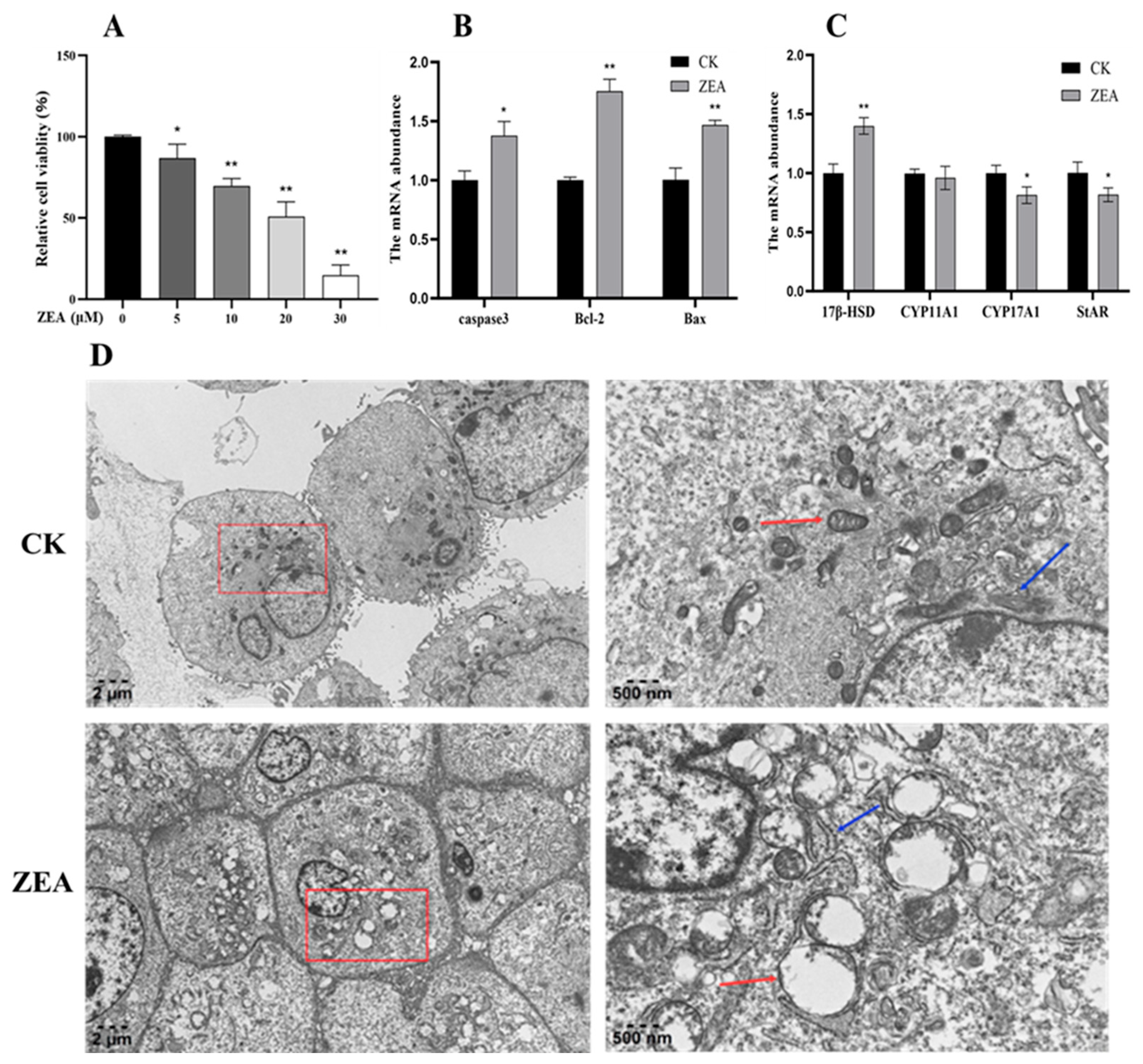 Animals 16 00283 g002