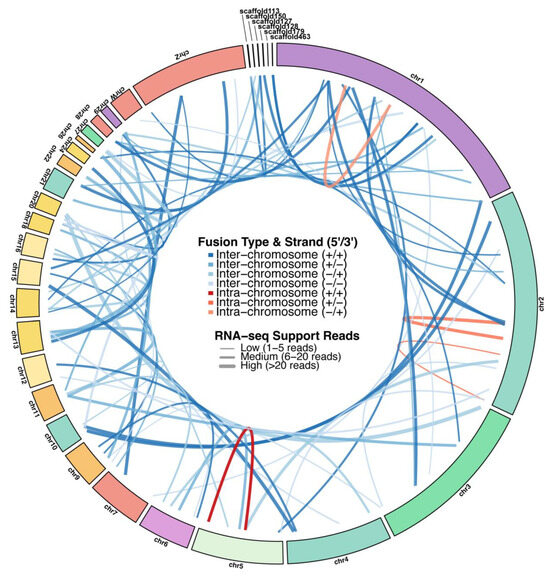 A Comparative Analysis of Transcriptome-Wide Differential Gene